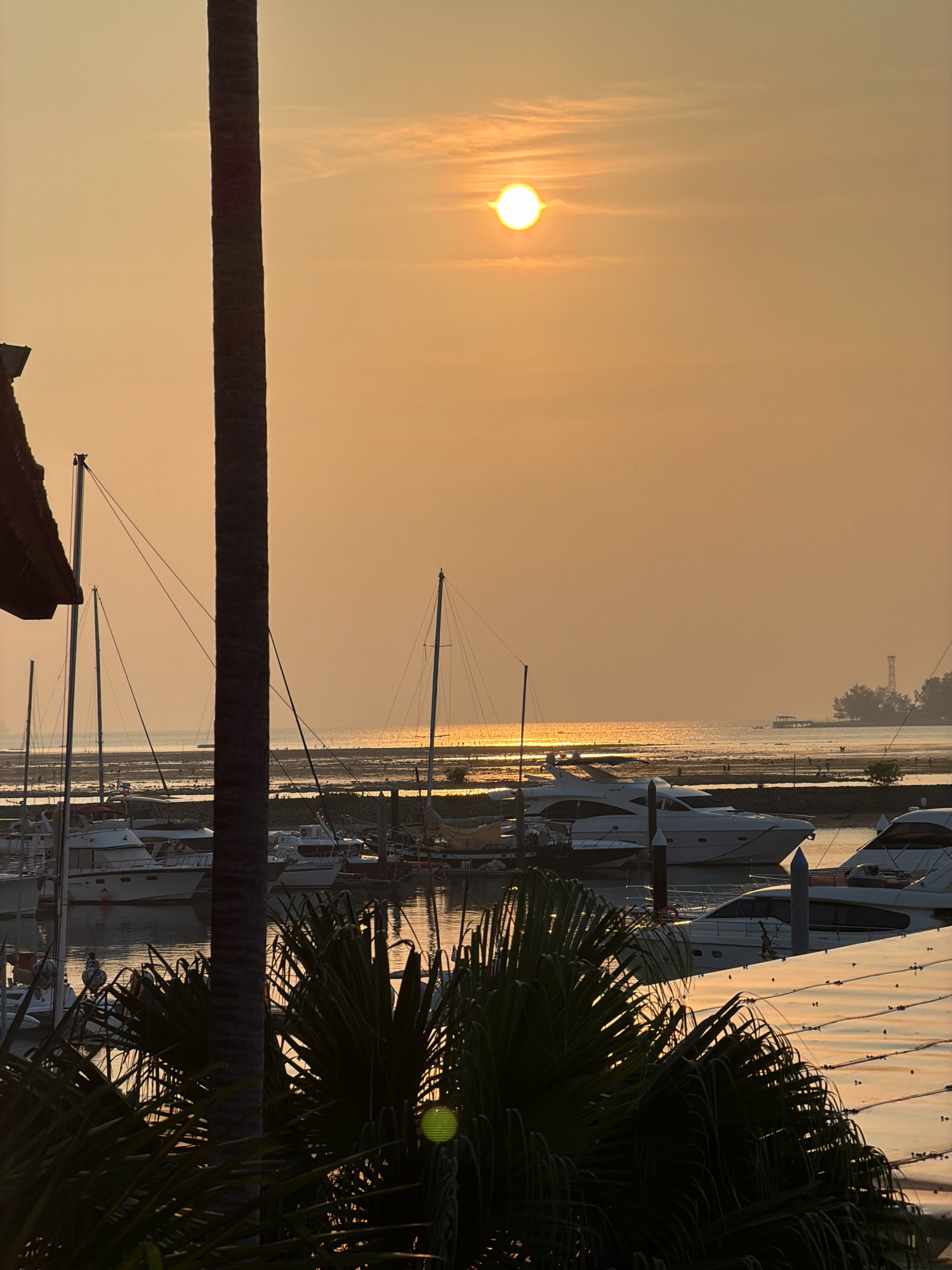 A vertical, close-up, palm tree trunk dominates the left side of the frame. Behind it, a hazy, golden-orange sunset casts a warm glow over a marina. Several white yachts of varying sizes are moored in the calm water, their reflections shimmering on the surface. In the distance, a body of water stretches to the horizon, with a faint silhouette of land and trees visible, possibly part of Batam, Indonesia. The sky is a soft gradient of orange and yellow, with a few wispy clouds. The foreground is partially obscured by dark green palm fronds, creating a silhouetted effect.