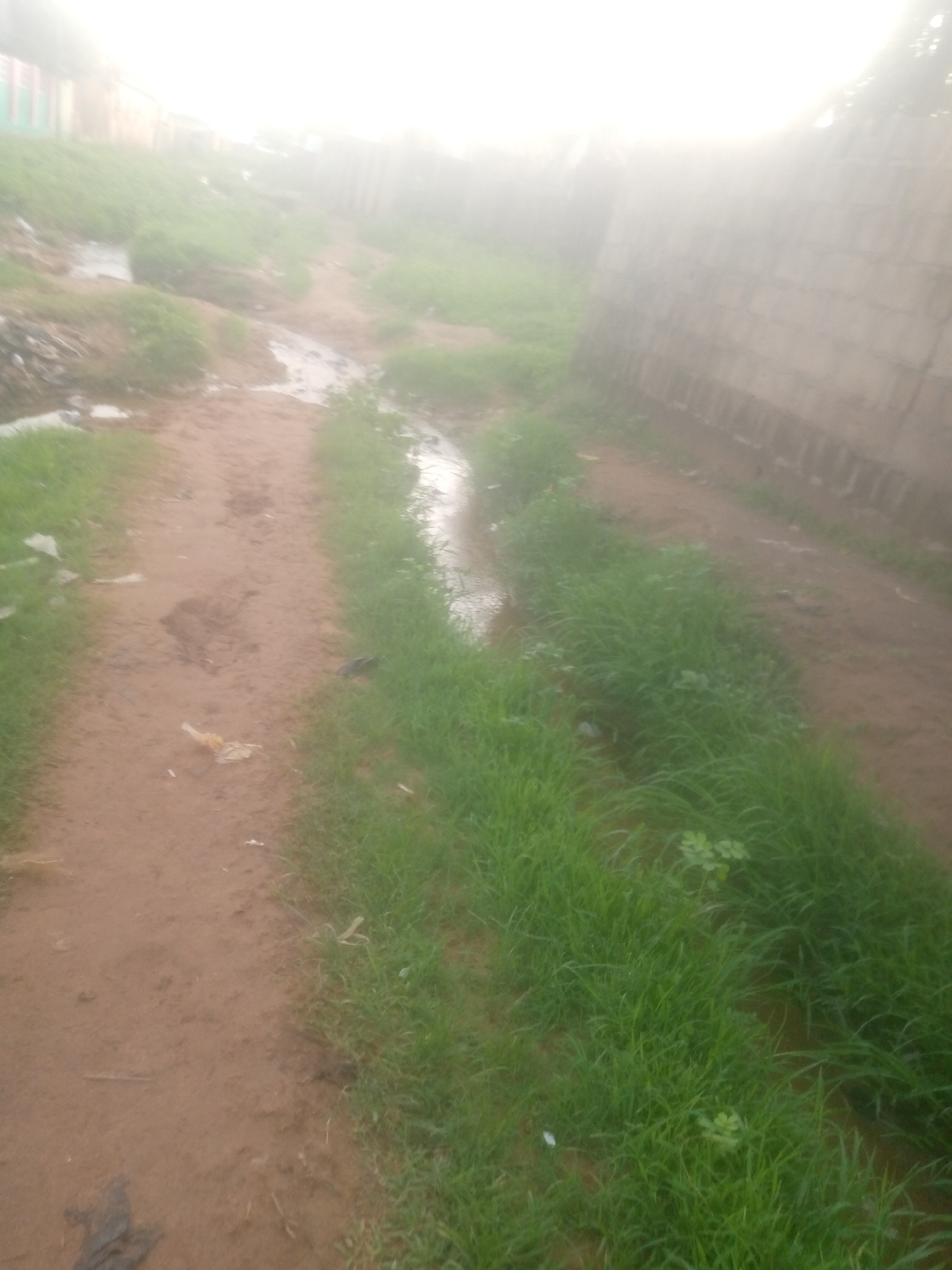 The image depicts a scene in Jalingo, Nigeria, featuring a dirt path alongside a grassy area. A small stream or ditch filled with murky water runs parallel to the path, bordered by dense green grass. The path itself is muddy and uneven, with some scattered debris, including what appears to be a plastic wrapper. In the background, on the right side of the image, there is a rough concrete wall. On the left side, blurry structures suggest buildings or fences. The overall atmosphere is hazy, possibly due to fog or poor lighting conditions. There are no people visible in the image.