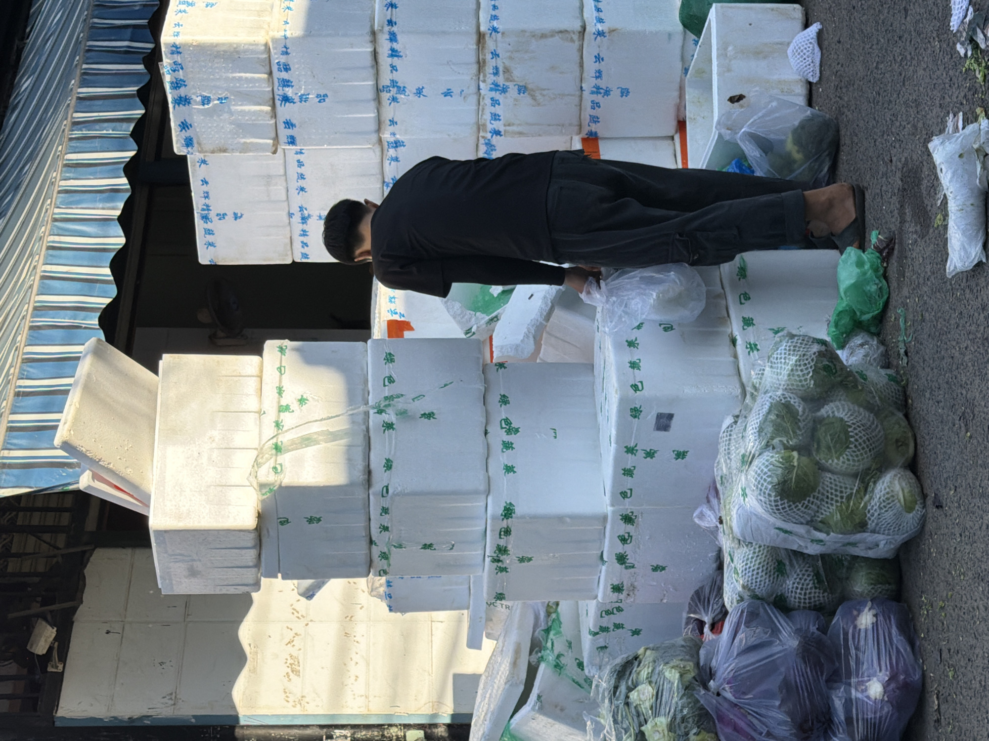 A young man, wearing a black t-shirt and dark pants, stands in front of stacked white styrofoam boxes in an outdoor market. The boxes are marked with blue and green lettering. In the foreground, various vegetables are piled up, some in plastic bags. The scene appears to be a wholesale produce market, likely in Nha Trang, Vietnam, given the style of the awnings and the typical appearance of such markets in Vietnam. The man is holding a plastic bag, and the overall impression is one of a working market environment.
