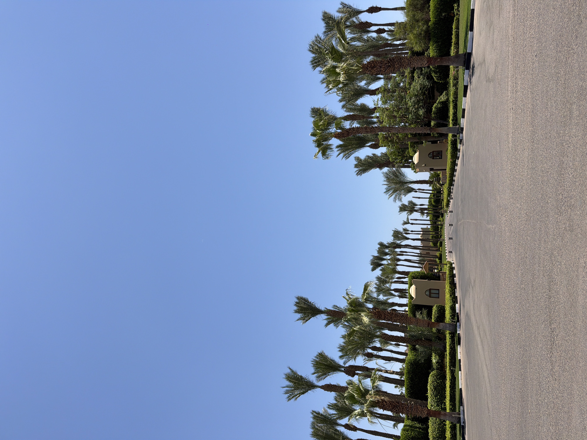 The image depicts a wide, paved road in Sharm El Sheikh, Egypt, flanked by manicured green hedges and numerous palm trees under a clear blue sky. The road curves slightly into the distance, lined with alternating black and white bordered lawns on either side. Small, light-colored structures with arched windows and domed roofs are visible nestled within the greenery along the roadside, suggesting a resort or hotel complex. The scene is devoid of people, vehicles, or any visible activity, conveying a sense of quiet and order in a tropical or subtropical environment. The composition emphasizes the symmetry of the road and the consistent vertical lines of the palm trees.