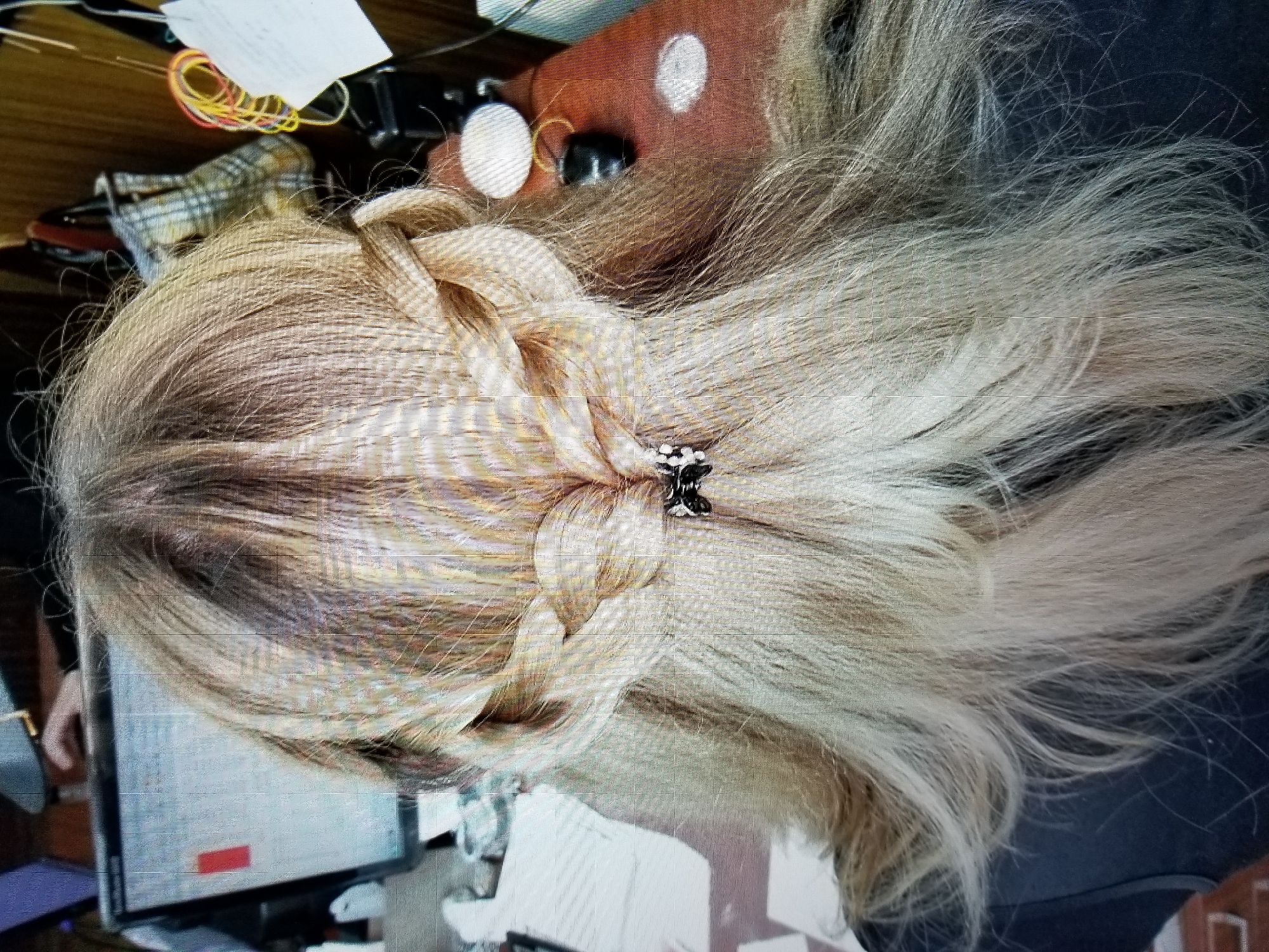 The image shows the back of a person's head with their hair styled in two braided sections that meet in the middle, secured by a small black clip. The hair is long and appears to be a mix of blonde and brown. The person is wearing a dark-colored shirt. The background suggests an indoor setting, possibly a desk area with a computer monitor and various objects on a surface. The lighting is somewhat dim. There is no information in the image that indicates the location is Tiraspol, Moldova.