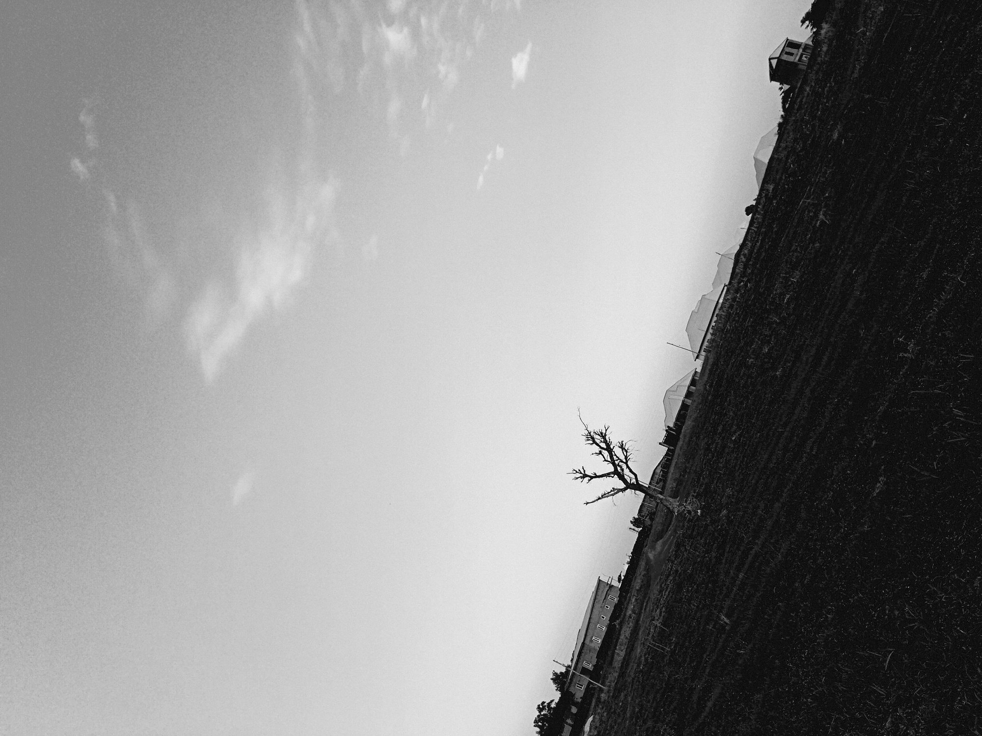 The image is a black and white, low-angle shot of an outdoor scene. In the upper left, there is a bright, cloudy sky. The right side of the image is dominated by a dark, steep field or hillside, suggesting a rural or suburban area. The field contains a bare tree with visible branches. In the middle, there are buildings. The image is taken at an angle, which might suggest the photograph was captured with a non-level camera.
Given the prompt, this image cannot be confirmed to be in Barakin Angundi, Nigeria, without additional verification.