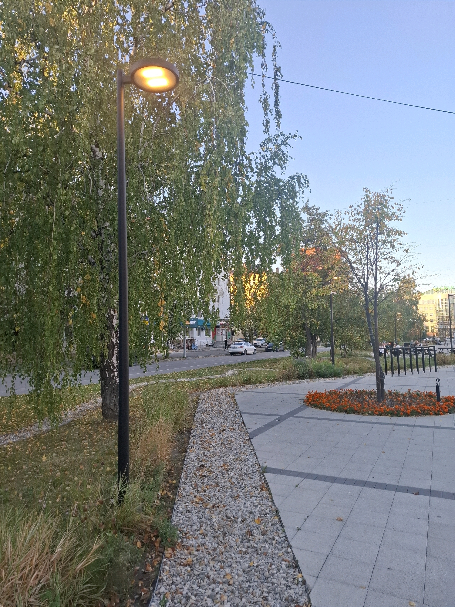 The image depicts a street scene in Tyumen, Russia, likely during autumn. In the foreground, a paved walkway with a gravel border is visible, lined with dry grass and fallen leaves. A lamppost with a lit bulb stands to the left, casting a warm glow. Behind the walkway, a street with vehicles and buildings can be seen. The trees lining the street have predominantly green leaves with some showing hints of yellow and orange, suggesting the season. In the middle ground, a flower bed with bright orange flowers surrounds a small tree. Further back, buildings, including a modern multi-story structure with visible signage, are present. The sky is clear and blue.
