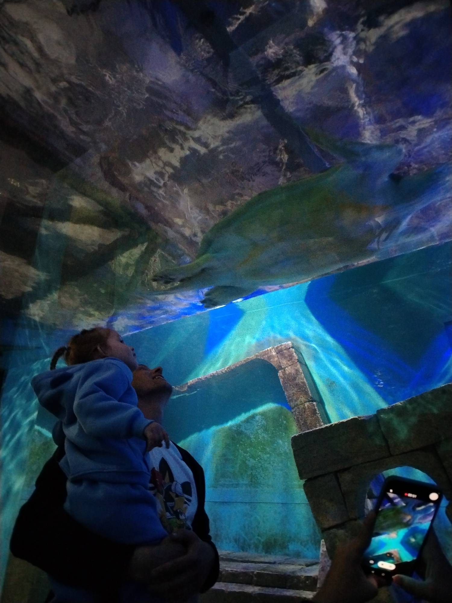 A dimly lit, vertically-oriented indoor scene shows a man holding a young child, both looking up at a large sea turtle swimming in an aquarium tank. A person is taking a picture of the scene with a cell phone. The tank contains blue-lit water and an artificial rocky environment. The location is likely the Kazan Oceanarium in Kazan, Russia.