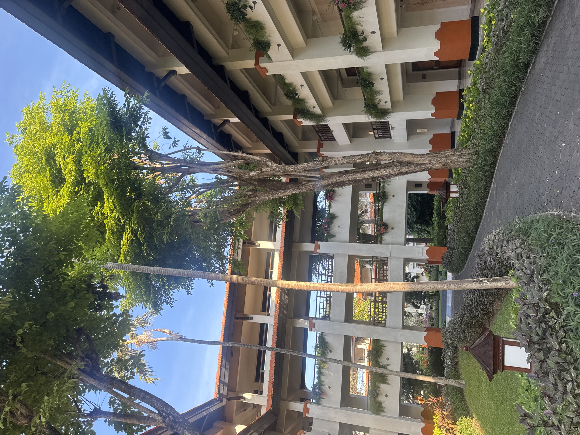 The image depicts a courtyard of a hotel in Kuta Selatan, Indonesia, bathed in the soft light of the morning or late afternoon sun. The architecture features multiple stories of balconies and walkways, constructed with cream-colored walls and accentuated by terracotta-colored trim. The buildings are adorned with hanging plants and flowers, adding a touch of greenery to the structures.
Tall palm trees and other lush vegetation are strategically placed throughout the courtyard, creating a tropical ambiance. A paved walkway, made of dark grey interlocking stones, winds through the meticulously maintained gardens. These gardens are filled with various types of plants, including low-lying shrubs with dark green and purple foliage, and neatly trimmed grass areas.
In the foreground, a small, decorative lantern with a dark wooden roof and a white illuminated panel sits amidst the plants, casting a warm glow. The sky above is a clear, bright blue, indicating pleasant weather. The scene is tranquil and serene, evoking a sense of relaxation and resort living. There are no people visible in the image.