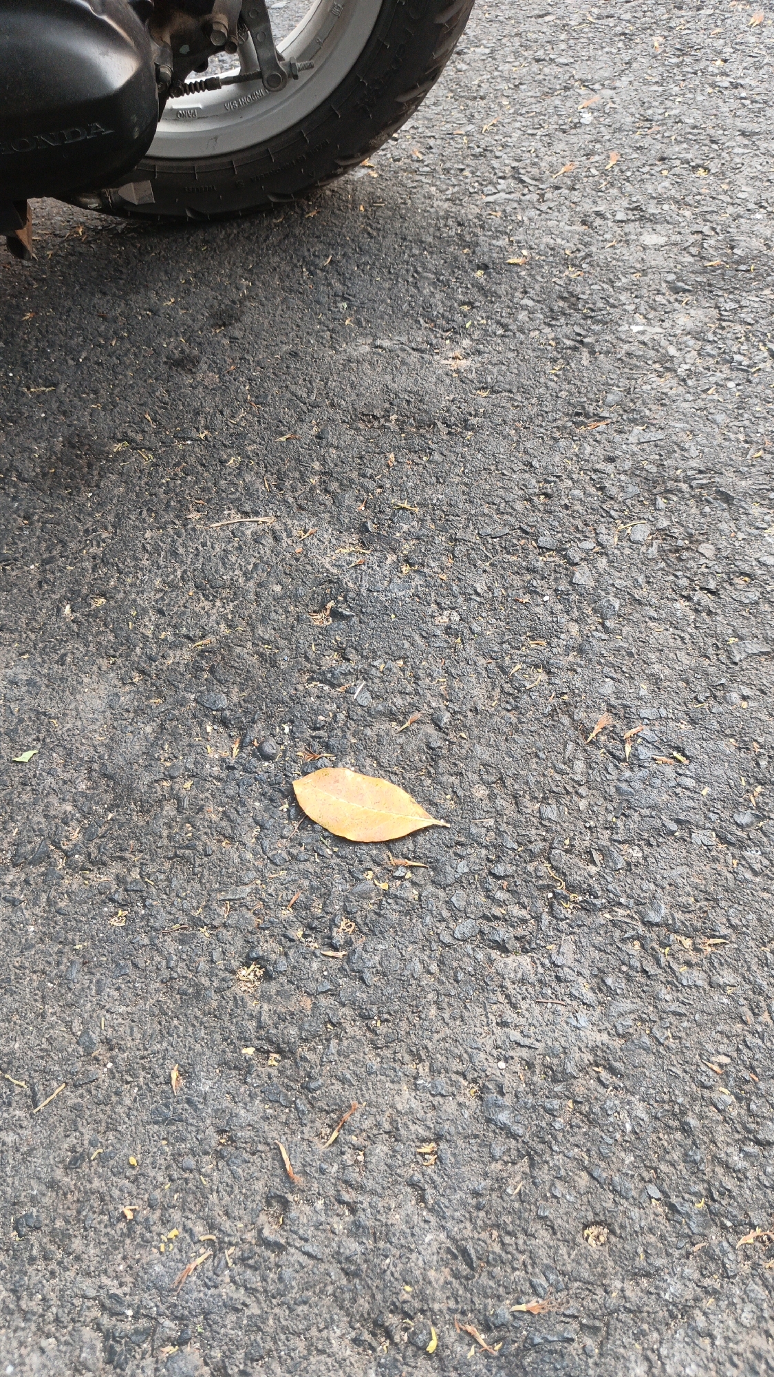 The image shows a close-up, eye-level view of a section of asphalt road in Bacin, Indonesia. In the upper left corner, the lower portion of a dark-colored motorcycle is visible, including its tire and part of the engine casing. The asphalt surface is dark gray with a rough, granular texture, and it is littered with small, dry leaves and twigs, suggesting an outdoor environment possibly near trees. A single, fallen, yellowish-brown leaf lies prominently in the center of the frame. The lighting suggests it is daytime, with subtle shadows indicating the sun's position. There are no people or animals present in the image, and no discernable actions are taking place. The scene is static and ordinary.