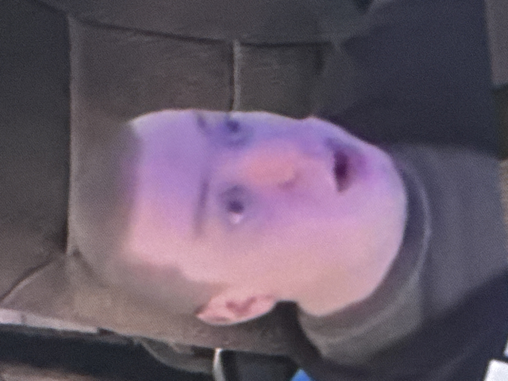 The image shows a close-up, blurry, and somewhat pixelated shot of a person's face, illuminated by a purplish light. The person has a buzzed haircut, large eyes that appear to be staring with surprise or shock, and their mouth is open. They are wearing a dark-colored hooded sweatshirt. The background consists of a dark, textured surface, likely part of a chair or couch. There is no discernible indication of the city of Saratov, Russia, or any specific urban environment within the image. The lighting and the expression on the person's face suggest a moment of intense reaction, possibly captured during a video call or while watching something on a screen.