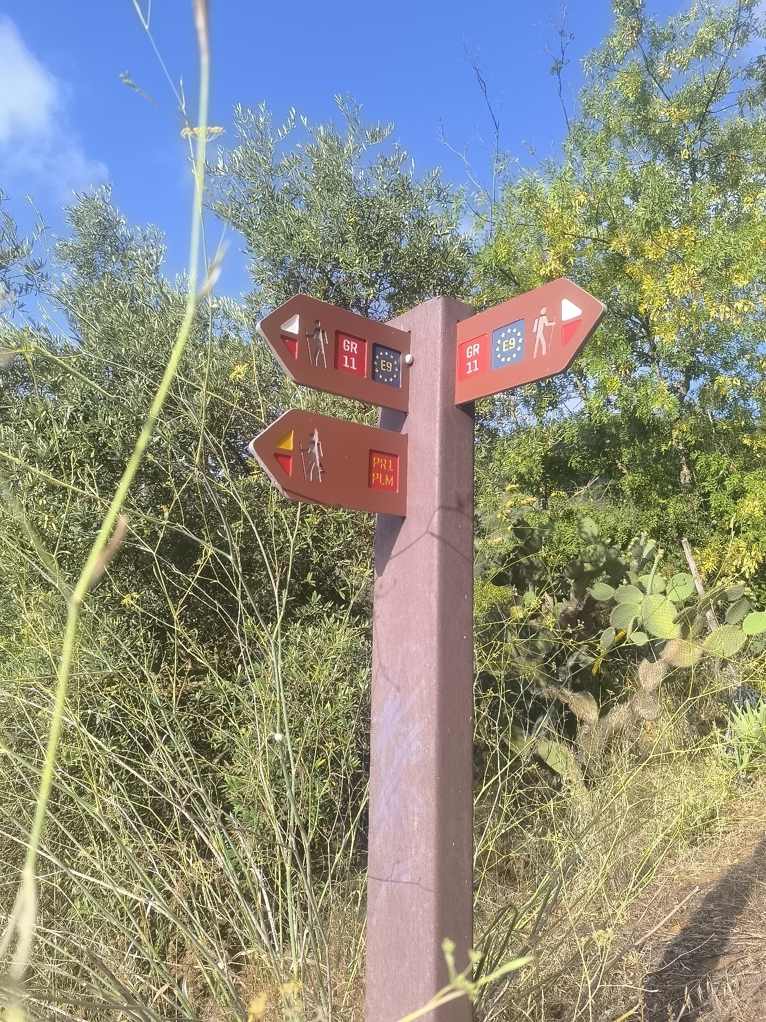 A trail marker post with multiple directional signs is situated outdoors. The post is brown, and the signs are also brown with text and symbols indicating hiking routes. One sign points right and indicates "GR 11" and "E9" with European Union flag symbols and figures of hikers. Another sign, pointing left, shows a red and yellow marker and text that reads "PR1 PLM". Surrounding the post is dense green vegetation, including bushes and trees, under a blue sky with some clouds. In the background, there are also some prickly pear cacti visible. The scene appears to be a natural or semi-natural outdoor environment, possibly a hiking trail in the vicinity of Palmela, Portugal, given the "PLM" designation on one of the signs. There are no people or animals visibly present. The lighting suggests it is daytime, likely under sunny conditions.
