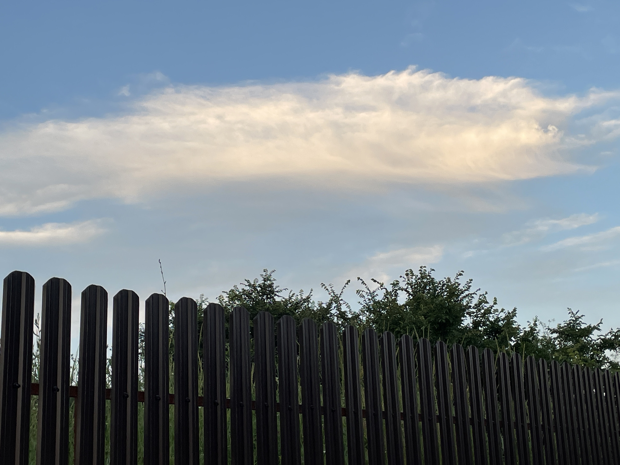 This media file captures an outdoor scene featuring a dark, vertical metal fence in the foreground, with its pointed tops creating a jagged line against the sky. Behind the fence, lush green trees and foliage form a dense backdrop. The sky above is a pale blue, adorned with a prominent, elongated cloud formation that is illuminated with warm, yellowish tones, suggesting either the soft light of early morning or late afternoon. The overall atmosphere is tranquil and serene, with no people or specific activities depicted. The image appears to be taken in Bârnova, Romania, based on the provided location context. There is no visible text in the image.