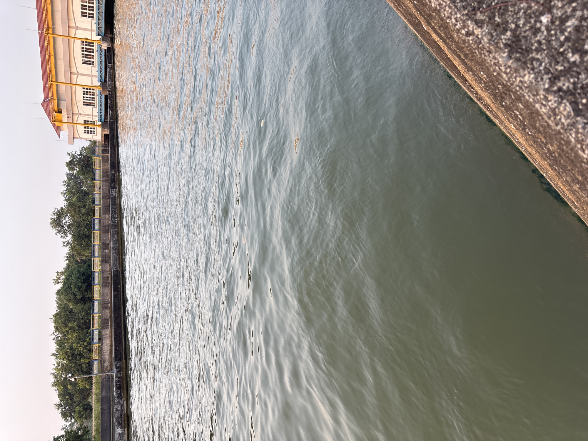 The image captures a body of water in Panyingkiran, Indonesia, with a building and greenery in the background. The water occupies most of the frame, with gentle ripples creating a textured surface. On the left side of the background, a row of trees forms a dense line against the horizon. In front of the trees, there is a concrete embankment topped with a yellow and blue metal railing, and a single lamppost. To the right of the trees, a large building with a reddish-yellow roof and cream-colored walls is visible. This structure has multiple windows and appears to be part of a dam or water control facility, with visible gates or sluices. The foreground features a textured concrete edge, likely the side of a dam or pier. The sky above is a pale, muted color, suggesting it is either early morning or late afternoon.