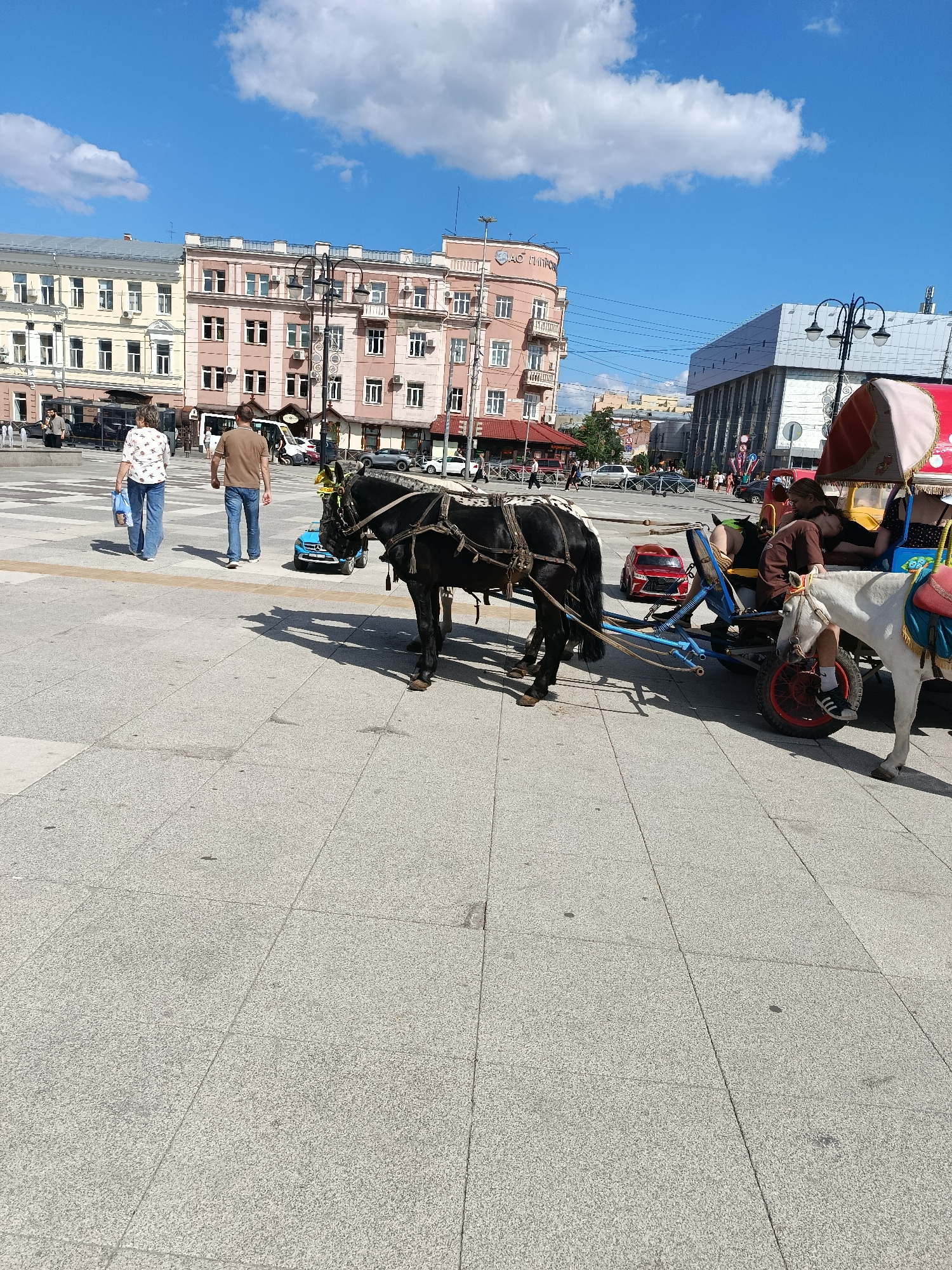 A sunny day in Saratov, Russia, features a horse-drawn carriage with two horses, one black and one white, resting on a paved plaza. The black horse is in the foreground, harnessed to a blue carriage. The white horse is to the right, also harnessed to the carriage. Several people are in the carriage, including a woman wearing a hat and a man. Behind the carriage, a group of people are walking. In the background, there are several buildings, some with ornate architecture, and a blue sky with white clouds. A street with cars and a bus is visible further in the background. The plaza appears to be a public space, possibly a tourist attraction.