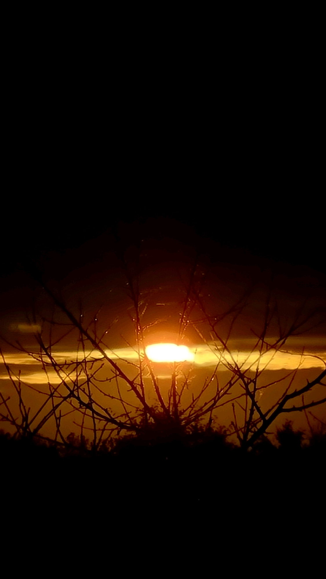The image is a vertical, low-light photograph of a sunset through bare tree branches in the city of Vysokoe, Russia. The sun, a bright, fuzzy orb of orange and yellow light, is partially obscured by the silhouetted branches of a tree in the foreground. The sky behind the sun is a gradient of warm tones, transitioning from bright orange near the horizon to a dark, almost black hue at the top of the frame. The lower portion of the image is dominated by the dark silhouettes of trees and foliage. There are no people or animals visible in the frame. The overall atmosphere is somber and serene, with the setting sun casting a dramatic glow.