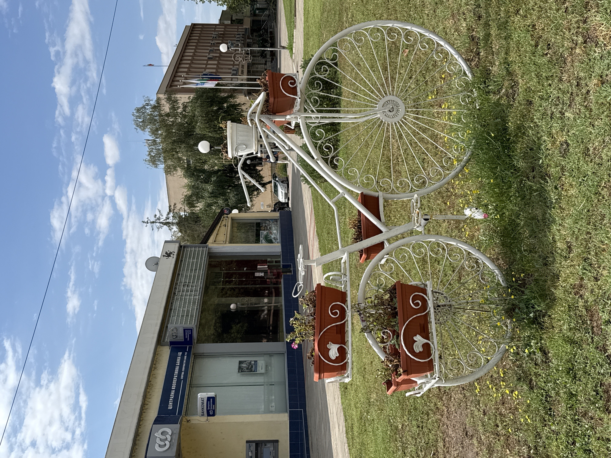 The image captures a decorative white metal bicycle with multiple flower pots, positioned on a grassy area in front of a building. The bicycle is the central subject, featuring an oversized spoked wheel and tiered planters holding dried plants and one pink flower. The building behind the bicycle appears to be a commercial establishment, with signage indicating it is the "CENTRAL COOPERATIVE BANK PLC" and a "BANKOMAT" (ATM). The architecture of the building is modern, with large glass windows and a light-colored facade. In the background, another larger building is visible, with several flags flying in front of it, and trees lining the street. The sky is blue with scattered clouds, suggesting a clear day. The overall scene depicts an urban streetscape in the city of Belene, Bulgaria, with the decorative bicycle serving as a focal point in a public space.