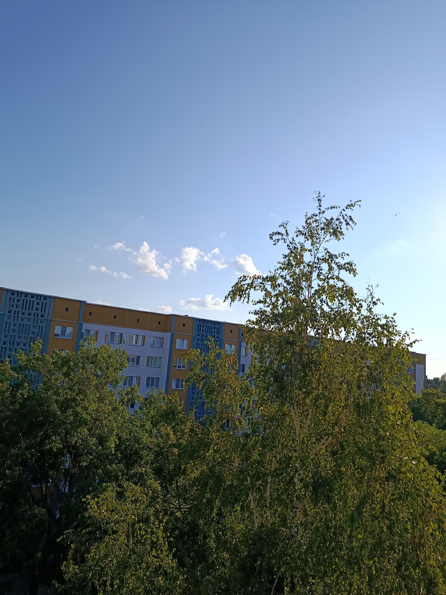 The image depicts an outdoor scene with a clear blue sky and scattered white clouds. In the foreground, lush green trees fill the lower half of the frame. Behind the trees, a tall apartment building is visible, featuring a distinct architectural style with alternating bands of yellow and blue on its upper section, and a lighter grey on the lower floors, adorned with rows of windows. The building is located in the city of Svietlahorsk, Belarus. The scene suggests a daytime setting, possibly late afternoon due to the quality of light. There are no people visible in the image.