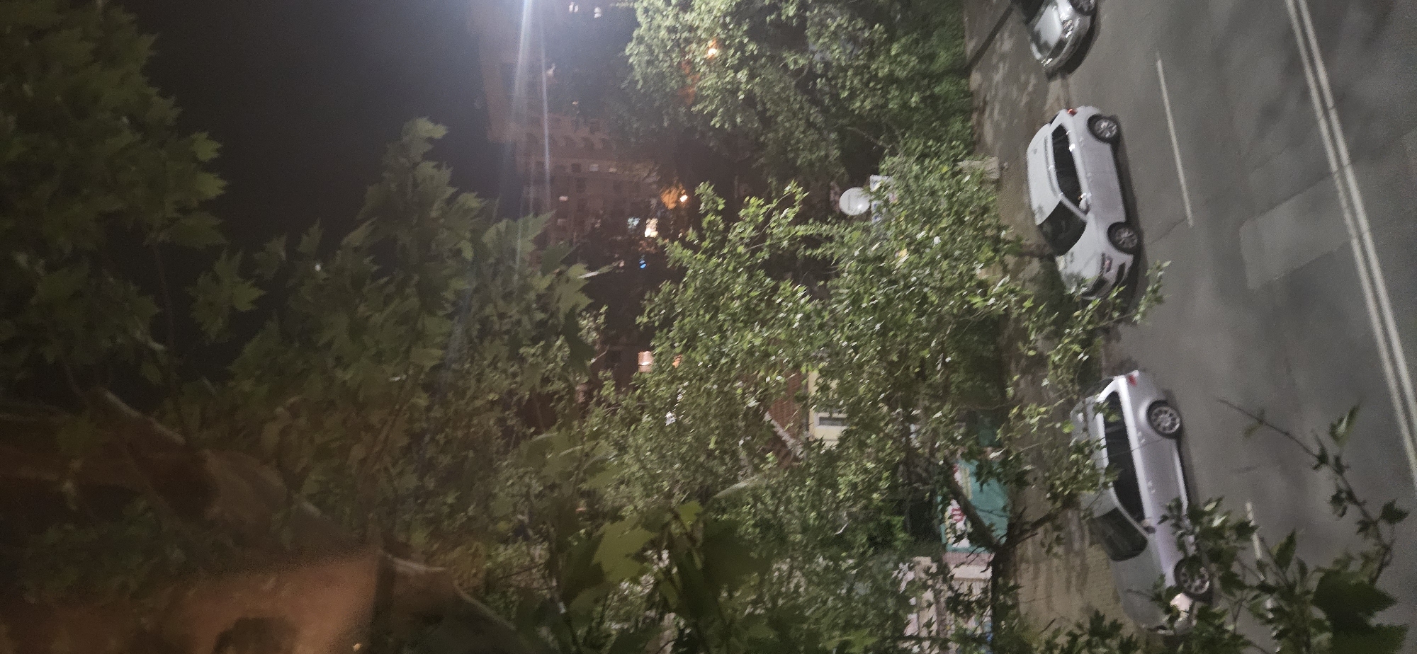 The image is taken at night, overlooking a street in Plovdiv, Bulgaria. Three parked silver cars are visible on the right side of the image, along with white lines marking the street. Trees are in the foreground and middle ground, partially obscuring the view of the street and buildings. In the background, a building with illuminated windows is present. The sky is dark, with a street light providing illumination. The overall scene suggests a residential or urban area during nighttime.