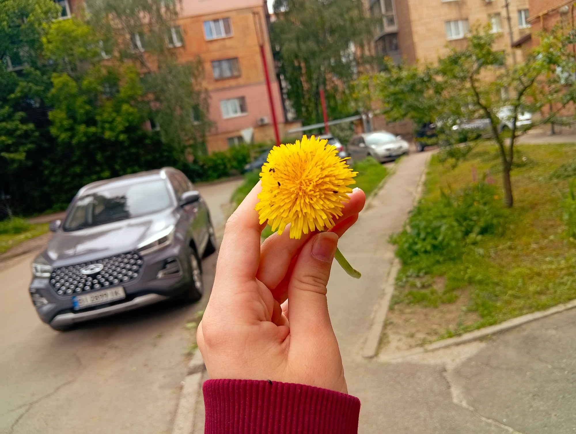 Memory