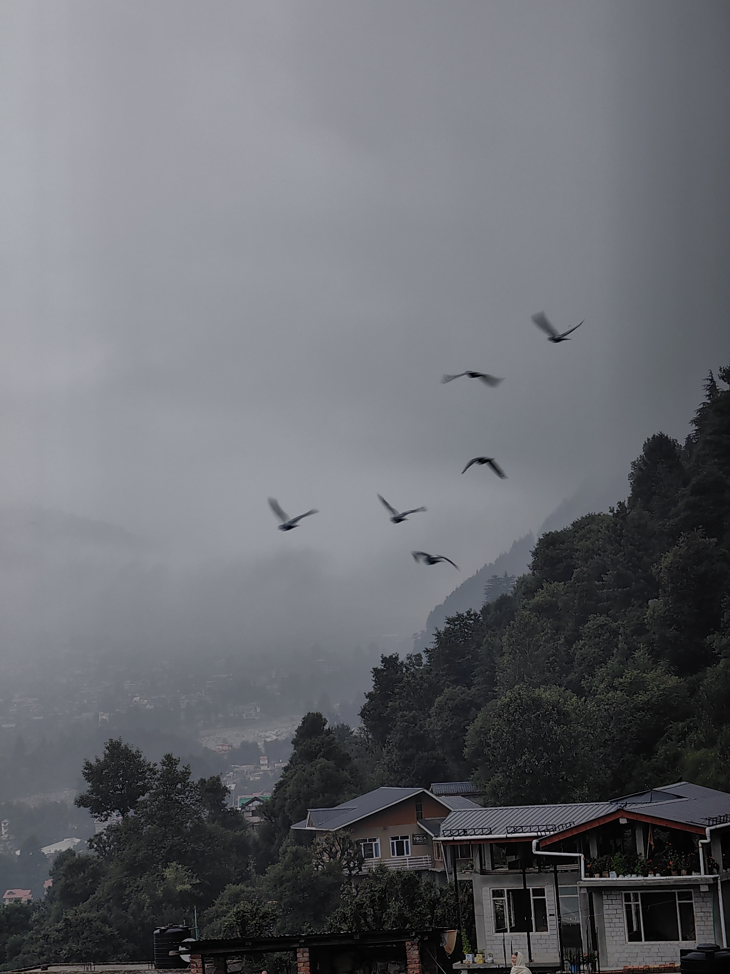 The image captures a hazy, overcast day in Vashisht, India, with a flock of birds in mid-flight against a muted sky. The birds are dispersed across the upper portion of the frame, their wings blurred, indicating motion. Below the sky, a dense, dark green forest covers a hillside. Scattered within the trees and further down the slope, houses with grey roofs are visible, some with red accents. The architecture appears to be a mix of traditional and modern styles, with several buildings featuring balconies and windows. The overall atmosphere is one of a quiet, somewhat secluded mountainous community under a cloudy sky.
