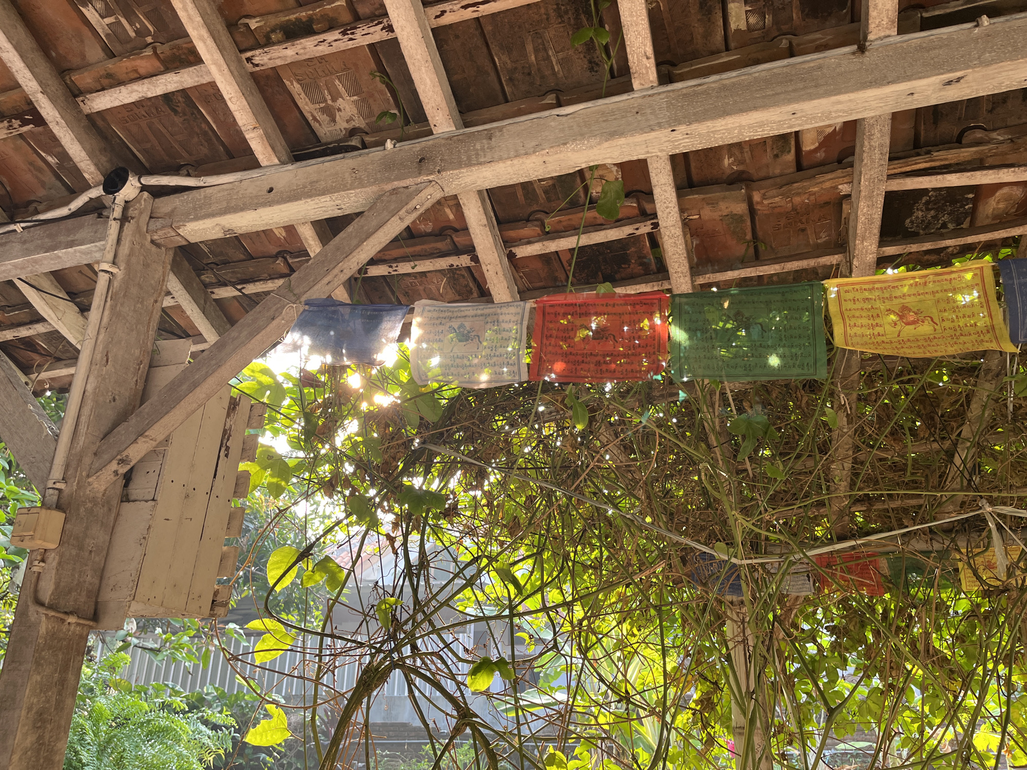 The image depicts the underside of a covered structure with a tiled roof supported by wooden beams. Prayer flags in various colors, including blue, white, red, green, and yellow, are strung horizontally across the frame. Sunlight streams through the gaps in the roof and the dense foliage of climbing plants that hang down, creating a dappled effect. In the foreground, the intricate network of branches and leaves of these plants obscures much of the view. The wooden supports show signs of age and weathering. The scene appears to be outdoors, possibly a veranda or an open-sided shelter. Based on the provided location, this scene is in Karangkebagusan, Indonesia. There are no people visible in the image.