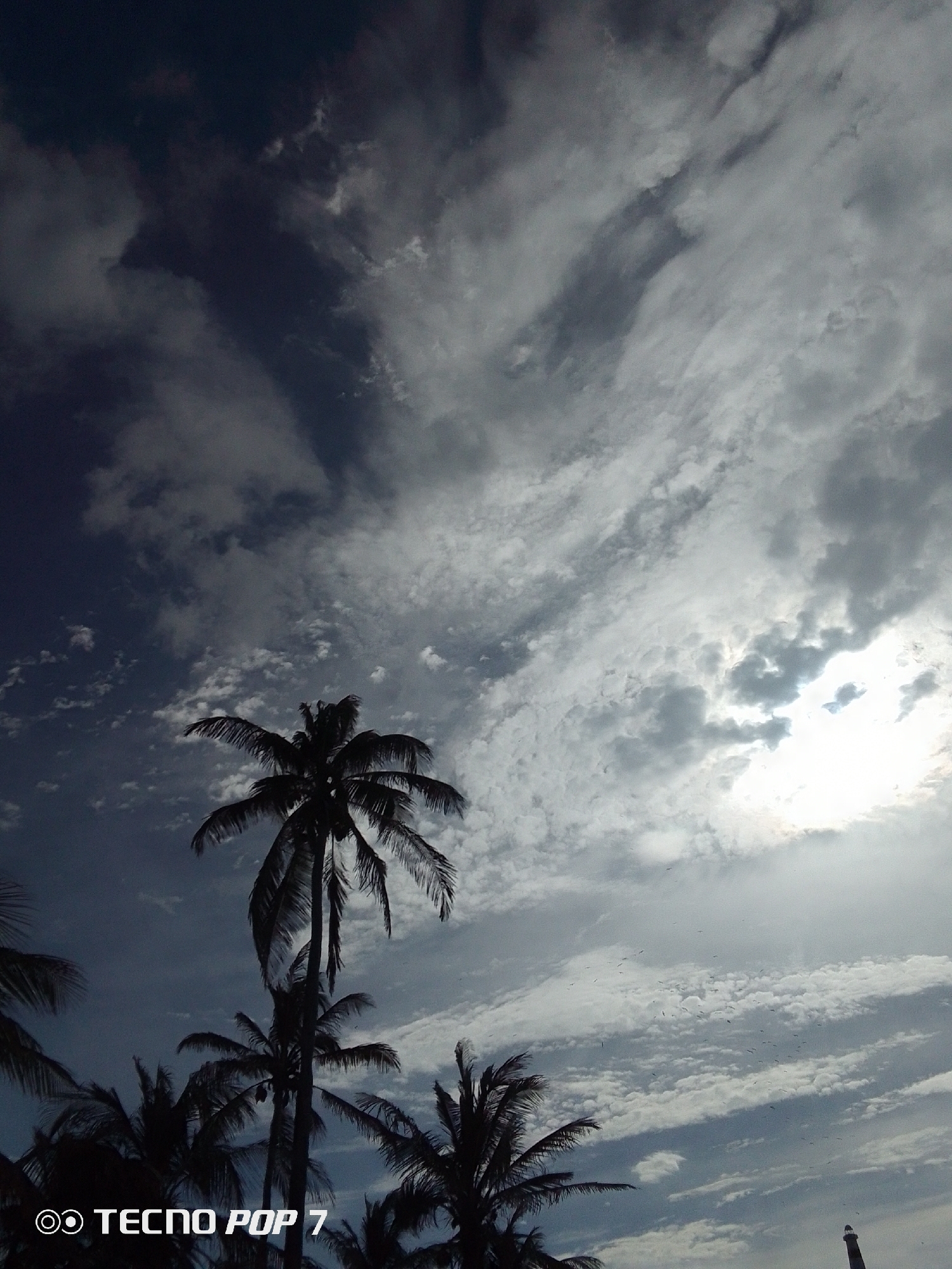 A low-angle, outdoor photograph depicts a silhouetted palm tree against a cloudy sky, taken in Pedro González, Venezuela. The sky is a mix of dark, ominous clouds in the upper left corner and brighter, cloud-filled areas in the upper right where the sun is partially visible. Several palm trees are visible in silhouette in the lower foreground. The words "TECNO POP 7" are present in the lower-left corner, possibly indicating the camera or device used to capture the image. A structure that resembles a lighthouse appears in the lower right.
