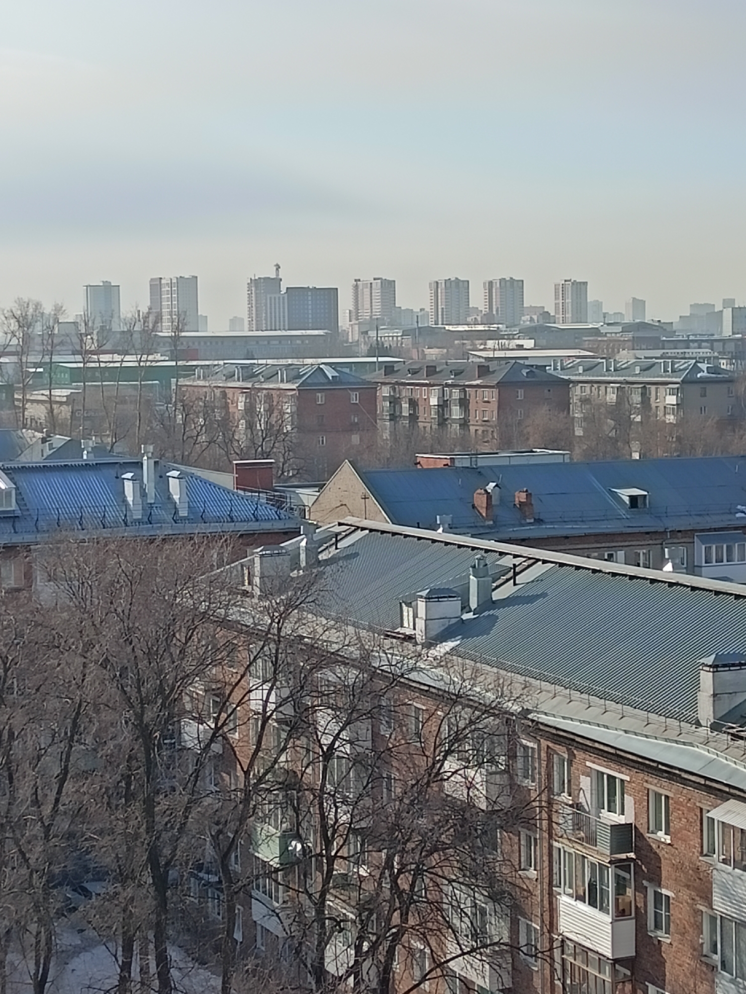 The image shows an urban landscape in Novosibirsk, Russia. In the foreground are several mid-rise apartment buildings with brick facades and metal roofs. Bare trees fill the space between the buildings. In the background, taller high-rise buildings are visible on the horizon. The sky is overcast.