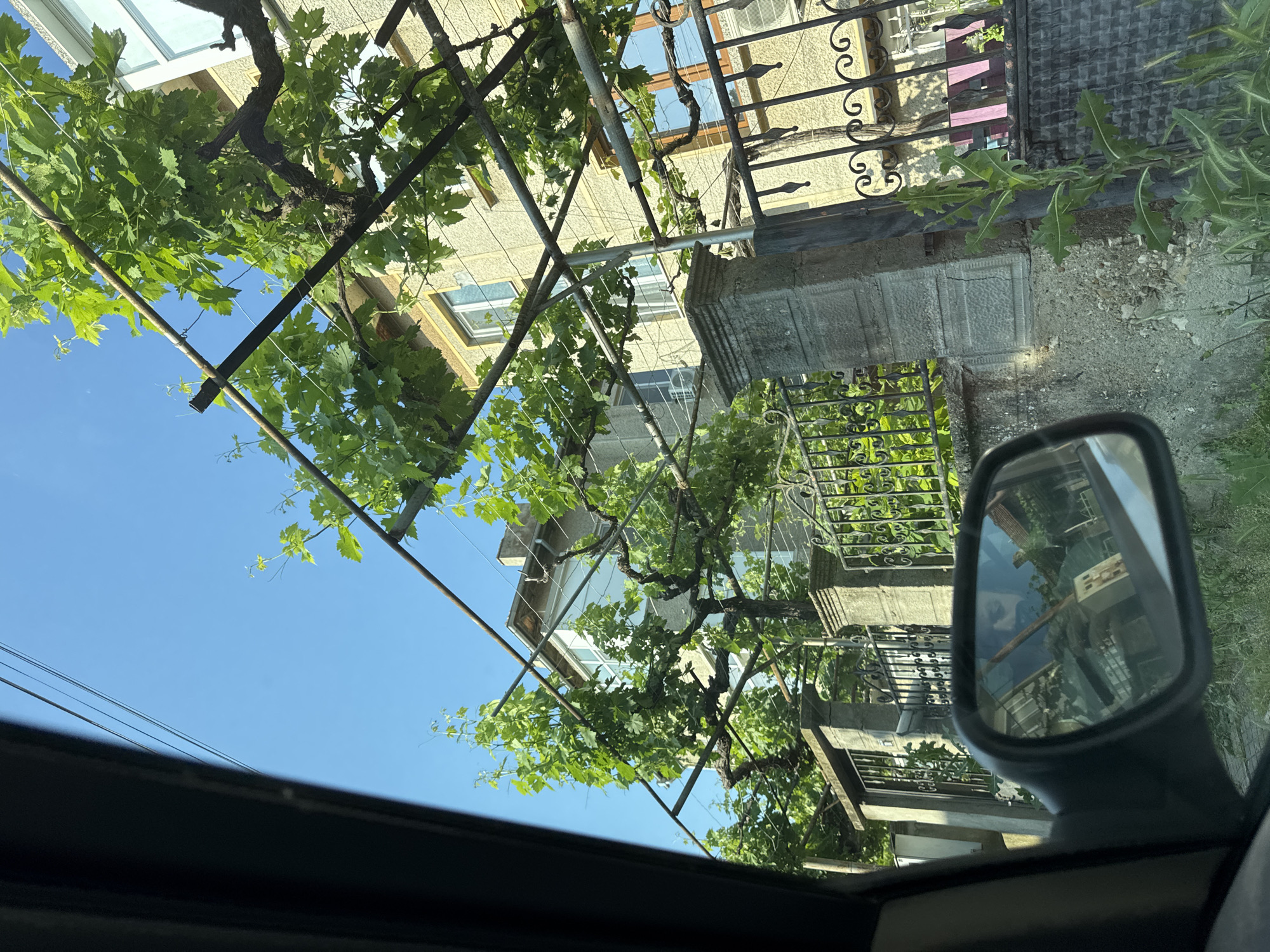 The image presents a residential street view in Novi Pazar, Bulgaria, captured from within a vehicle. The left side of the frame is bordered by the dark interior molding of the car window. A rearview mirror, located in the bottom-left corner, reflects the face of an individual with dark hair and a beard, along with interior car elements and a red object with discernible text, possibly "БОБ".
Dominating the midground is an extensive grapevine trellis system, consisting of robust metal poles and horizontal supports. Thick, gnarled grapevine trunks and branches are trained along this structure, supporting a dense canopy of vibrant green leaves, indicative of mature growth.
Behind the trellis, two multi-story residential buildings are visible under a clear, bright blue sky. The building on the right features a light yellow-beige facade with multiple white-framed windows, some incorporating brown wooden accents. An exterior air conditioning unit is mounted below a window on this building. The building on the left, partially obscured by foliage, also displays a light-colored facade and white windows, with its roofline and a chimney visible against the sky.
A decorative fence separates the properties from the street. It comprises concrete pillars and black wrought-iron sections adorned with scrolled motifs. A house number "17" is faintly visible on a plaque attached to one of the concrete pillars. A mailbox is positioned on a post near the left end of the fence. The ground immediately in front of the fence is unpaved, showing exposed dirt, gravel, and miscellaneous green weeds. Overhead utility lines are present against the clear blue sky in the upper left. The scene is illuminated by direct sunlight, indicating a daytime setting.