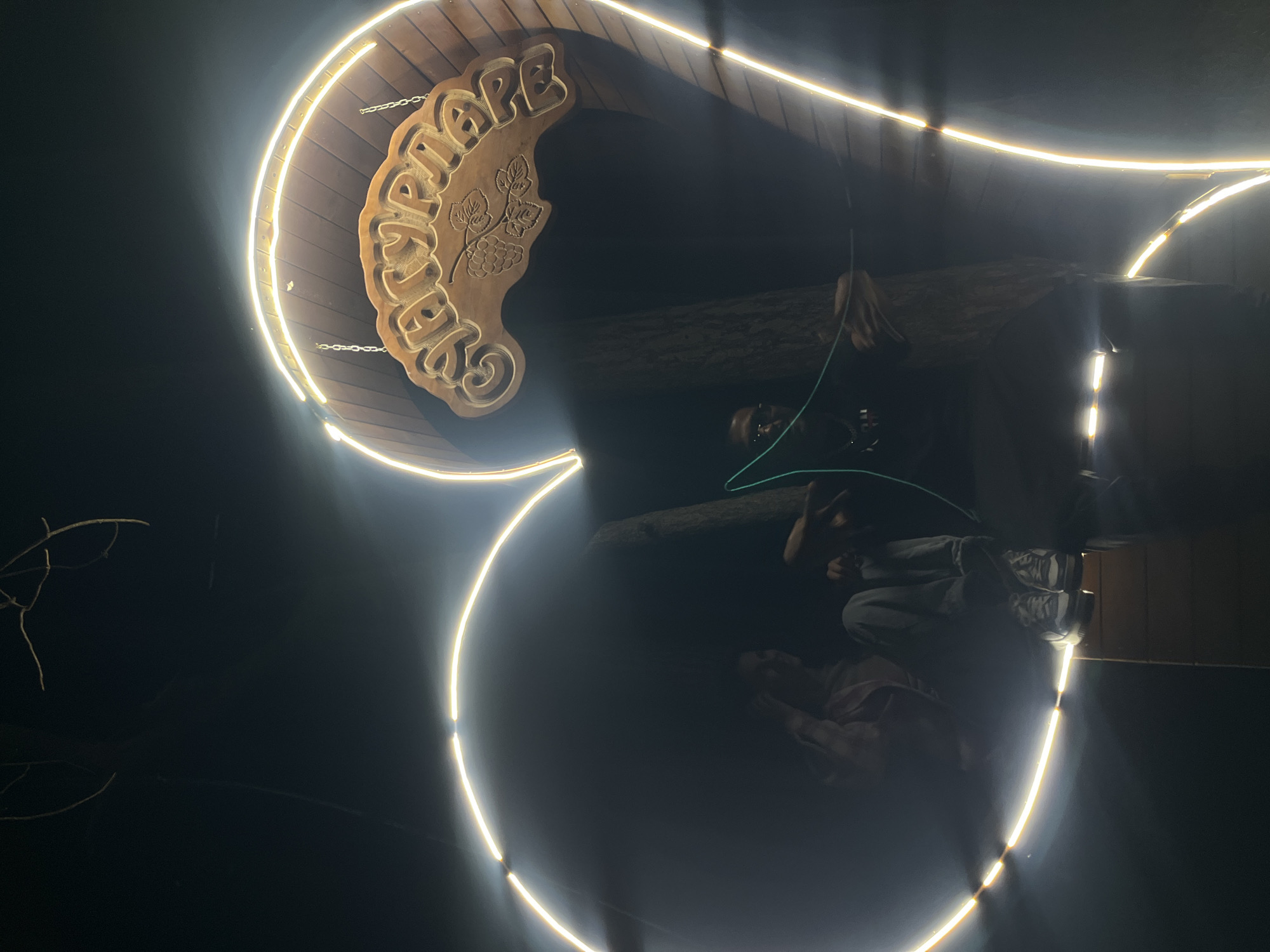 Captured at night in Sungurlare, Bulgaria, the image showcases a lit wooden sign bearing the Cyrillic inscription "СУНГУРЛАРЕ" with a grape motif. The sign is illuminated by a curved light fixture. Below the sign, obscured by darkness, a person is sitting, wearing pants and sneakers. Additional details include a tree trunk in the background and sparse vegetation.