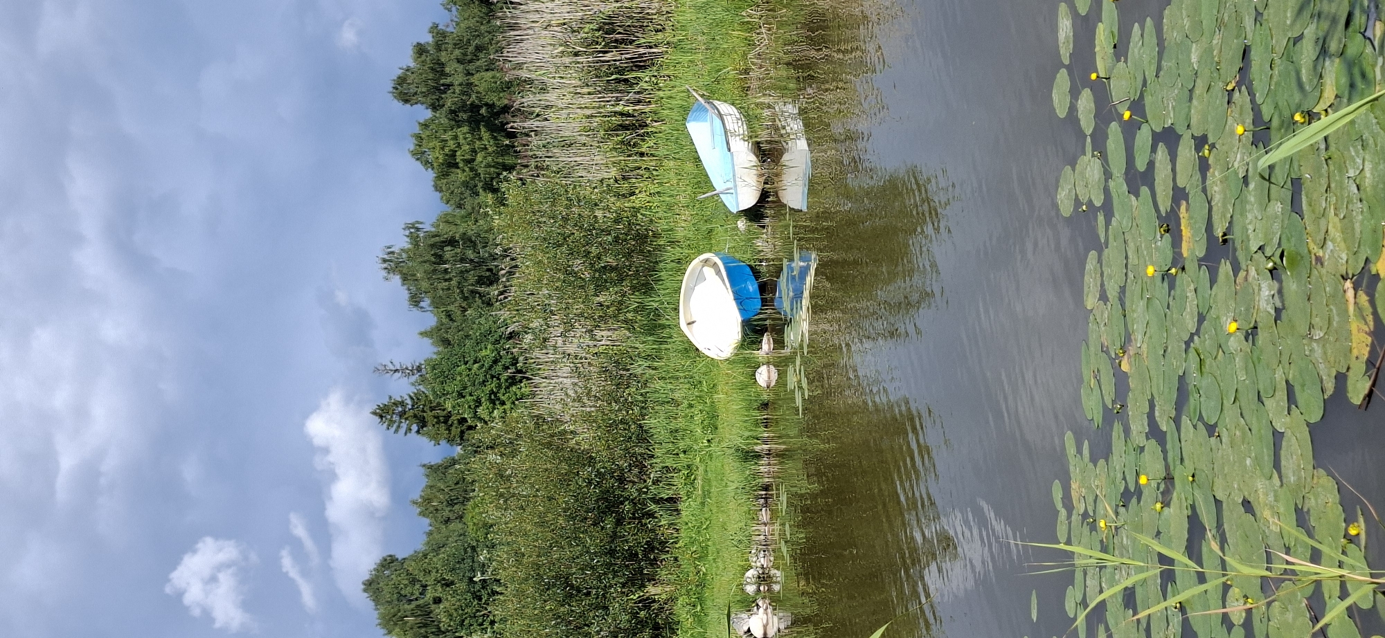 Two small, unoccupied boats are resting on the grassy bank of a calm waterway. The boat on the left is blue with a white interior, while the boat on the right is white with a light blue interior and has oars. The waterway is covered in a dense bed of lily pads, many of which have small yellow flowers. A dense line of green bushes and tall reeds borders the far bank of the waterway, with a dark green forest of trees beyond. The sky above is a mix of grey clouds and patches of blue. The scene appears to be a natural, tranquil setting, likely a park or rural area within or near the city of Valma, Estonia, given the natural vegetation and the presence of small boats typical of such locations.