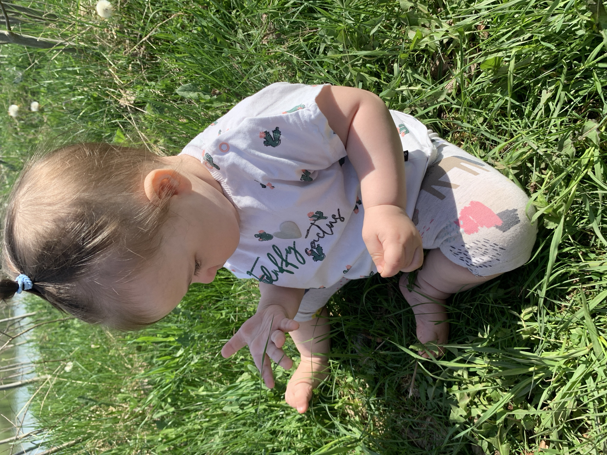 A baby is sitting in a grassy area, looking down and reaching towards the grass with its left hand. The baby has light skin, light brown hair tied back with a blue hair tie, and is wearing a white shirt with cactus designs and light gray pants with a pink design. The grass is green and long, with some dandelions visible. The photo appears to be taken outdoors on a sunny day. The location is Zasechnyi, Russia.
