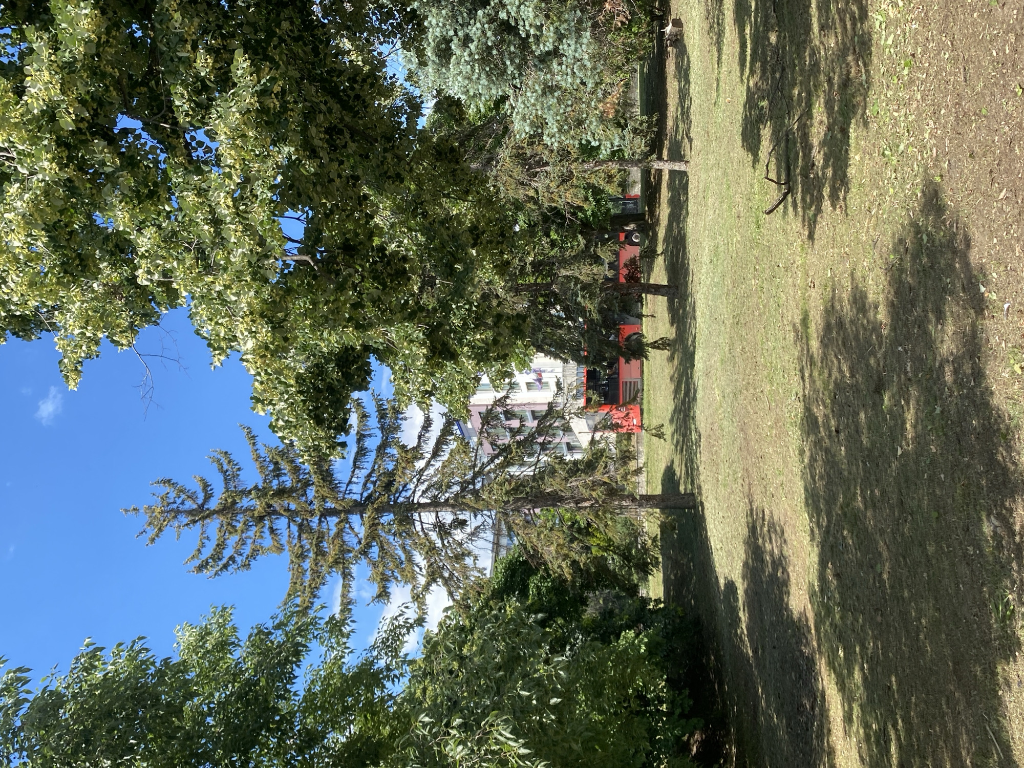 This media file depicts an outdoor scene on a sunny day, likely in Varna, Bulgaria. The foreground is dominated by lush green trees with dappled sunlight filtering through their leaves, casting shadows on the mown grass. In the background, a multi-story building with a pale facade and visible windows is nestled behind a dense cluster of trees. Further back, a red vehicle, possibly a bus or truck, is partially obscured by foliage, suggesting an urban or suburban park setting. The sky is a clear, vibrant blue, indicating fair weather. The perspective is from a low angle, looking up through the branches of the trees. No people are visible in the frame, and there is no discernible text.