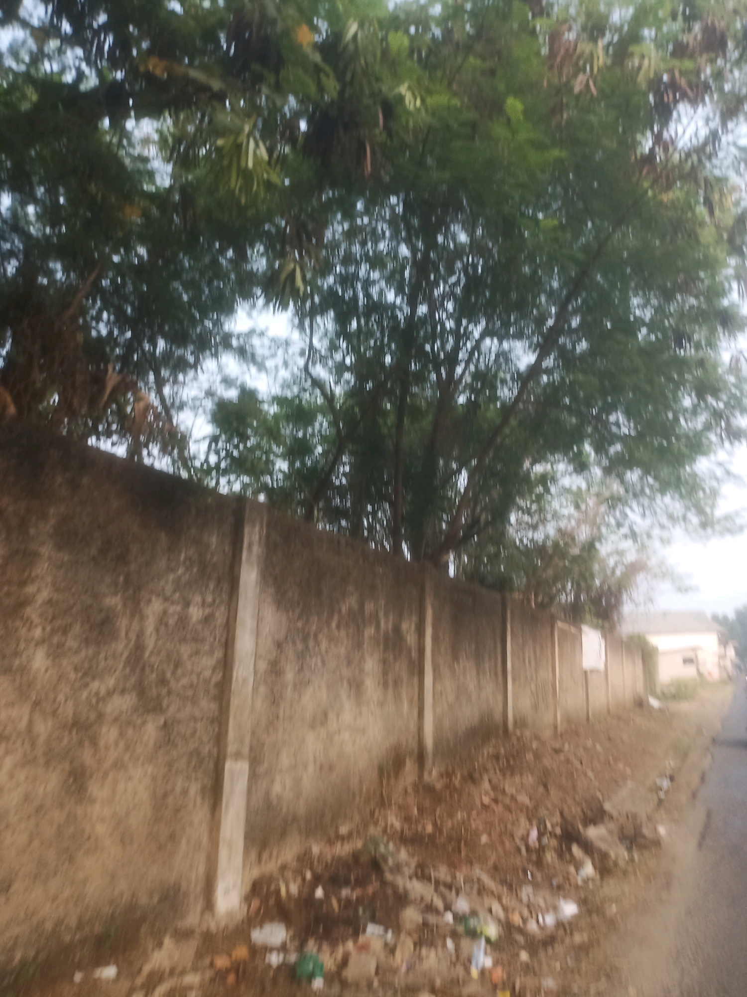An exterior medium shot shows a dilapidated concrete wall in Ciseeng, Indonesia. The wall is about 10 feet high and runs horizontally across the image. It is stained with dirt and grime, and a white vertical pillar is embedded in the wall approximately one-third of the way from the left edge. To the left of the pillar, the wall is covered in a patch of moss. The wall is topped by a dense canopy of trees with green foliage and branches that extend over the wall and into the sky. The sky is overcast and appears bright white. To the right of the wall, the ground is covered in a pile of brown dirt and debris, including scattered trash bags and plastic bottles. A paved road is visible to the far right, and a small tan building with a dark roof is visible in the distance behind the wall and trees. The image appears to have been taken during the daytime, but the lighting is dim.