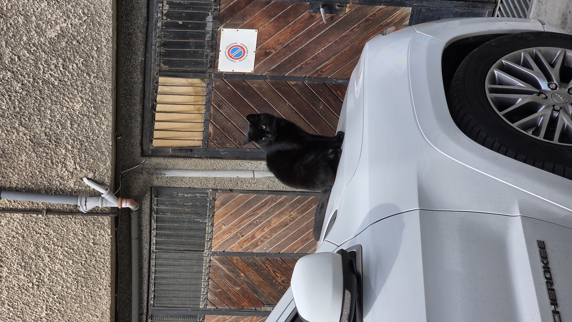 A black cat is perched on the hood of a white Cherokee car. The car is parked in front of a weathered wooden garage door with a "no parking" sign in Bulgarian. A grey water pipe runs horizontally across the textured concrete wall to the left of the garage door. The photo was taken in Blagoevgrad, Bulgaria.