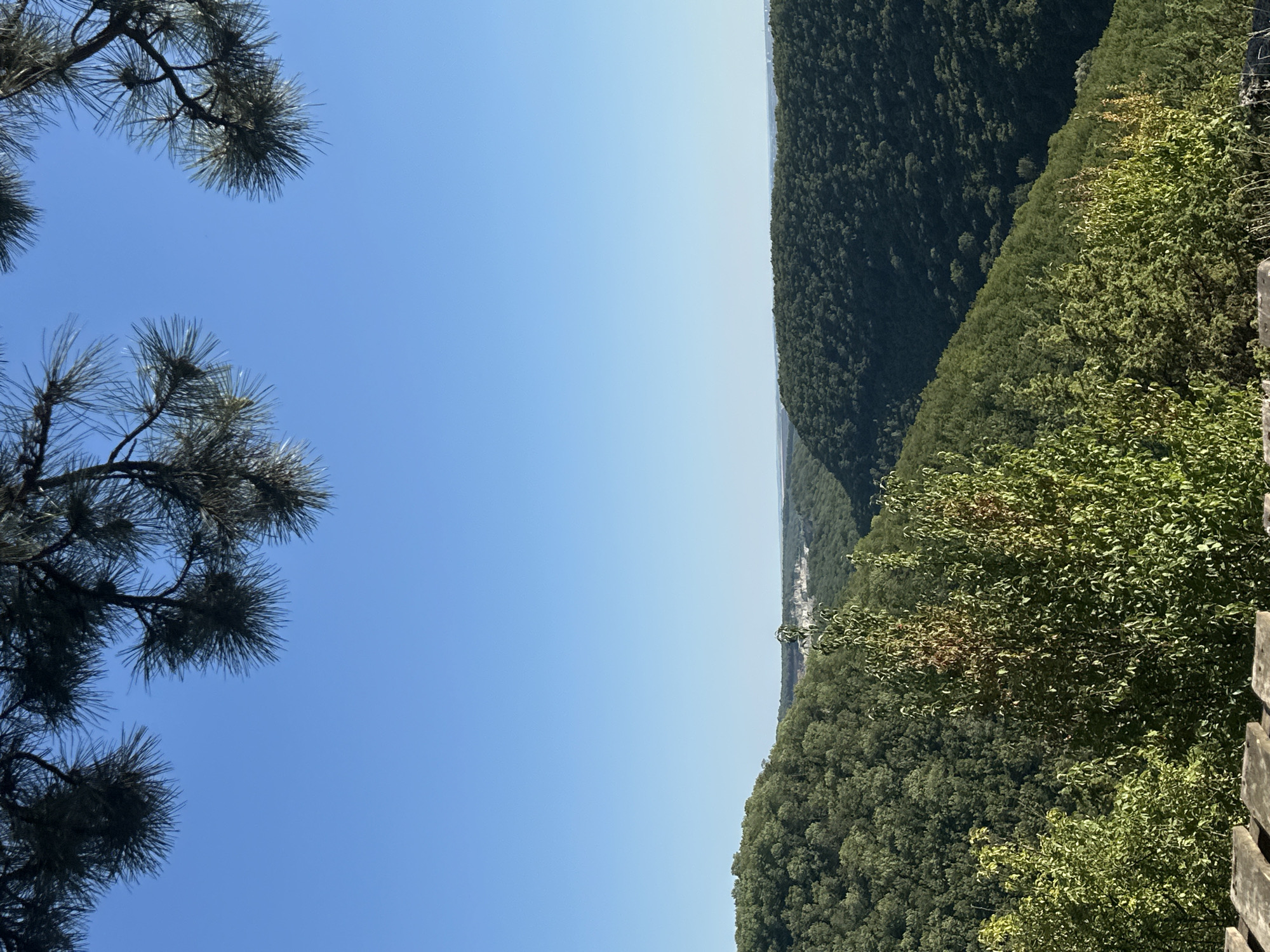 The image shows a view from a vantage point overlooking a valley in Pryvorottia Druhe, Ukraine. In the foreground, the branches of a pine tree hang down from the top of the frame, silhouetted against a clear blue sky. Below the trees, a lush green valley unfolds, with rolling hills covered in dense forest. In the distance, a small town or settlement can be seen nestled within the valley, with buildings appearing as small clusters against the landscape. The overall impression is one of natural beauty and tranquility, with the human settlement integrated into the surrounding environment.