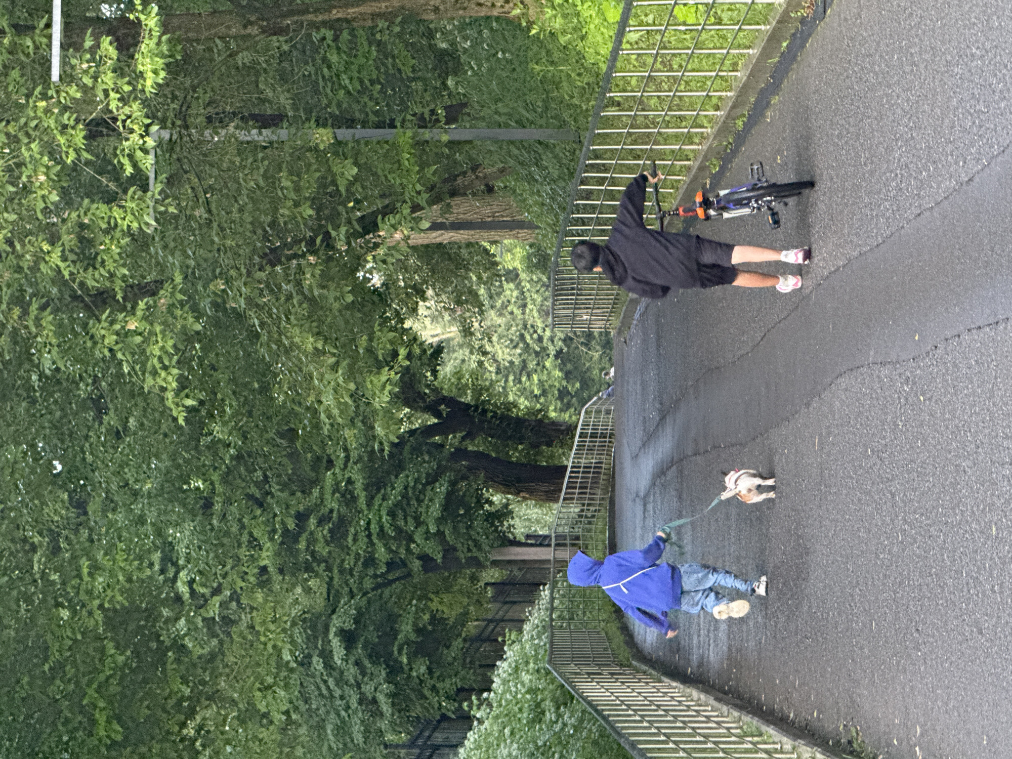 Two young children are walking on a paved path in a park. The child on the left, wearing a blue hooded sweatshirt and jeans, is walking a small dog on a leash. The child on the right, wearing a black hooded sweatshirt and dark shorts, is walking a bicycle. The path is bordered by a metal railing and lush green trees and foliage. The sky is overcast. The setting appears to be a public park in a wooded area. No specific identifying features of Moscow are visible.