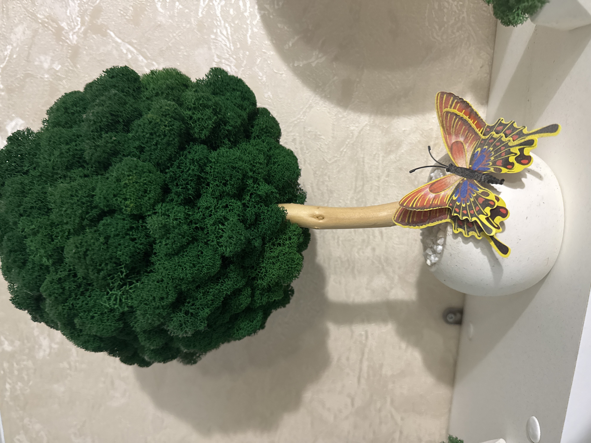 This image captures a decorative wall art piece indoors. The primary subject is a vibrant green, spherical bush-like object, likely made of preserved moss, which is connected by a light-colored wooden stem to a smooth, matte white spherical base or fixture mounted on a wall. Perched on this white sphere is a colorful artificial butterfly with wings displaying patterns of yellow, red-orange, and blue-purple, outlined in black. Its body and antennae are also black.
The setting appears to be an interior space, possibly a home or commercial establishment in Раздолье, Russia. The background consists of two walls meeting at a corner. One wall, behind the moss bush, features a subtly textured, light beige or off-white wallpaper. The other wall, to the right, is a plain white surface, suggesting a shelf or part of a structural element. The lighting casts clear shadows from the moss bush, the stem, and the white sphere onto the walls, indicating an indoor light source. There are no people visible, and no specific activity is taking place as it's a static display. There is no visible text in the image.