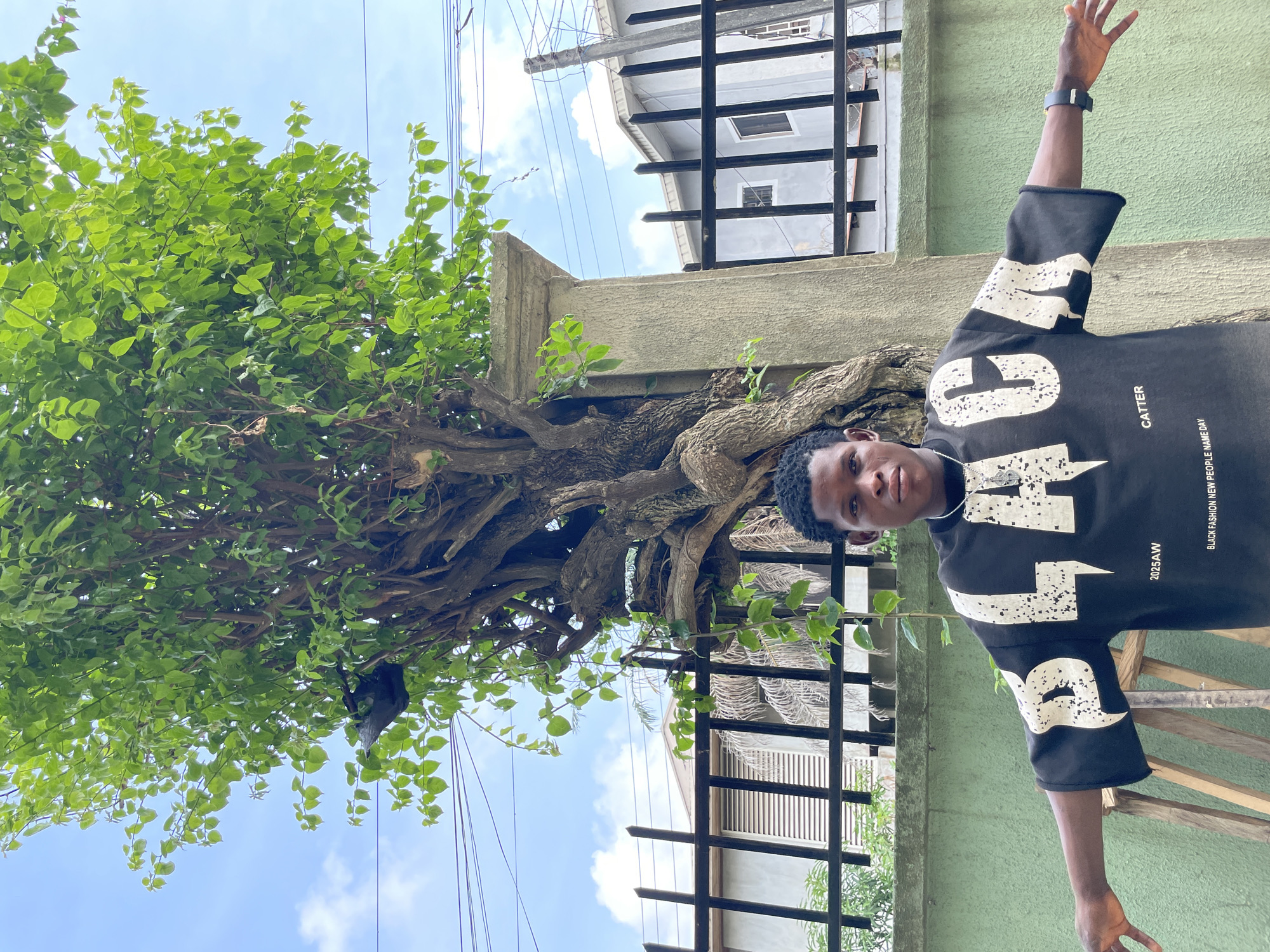 The image depicts a single, young Black male standing outdoors in the city of Ado, Nigeria, facing the camera directly. He has short, dark, curly hair and a neutral expression. He is attired in a black short-sleeved t-shirt featuring large, white, distressed capital letters spelling "BLACK" across the chest, with additional white text reading "2025AW," "CATTER," and "BLACK FASHION NEW PEOPLE NAME DAY." A silver-toned chain necklace with a pendant is visible around his neck, and a black wristband is present on his right wrist. His arms are extended horizontally outwards, with palms slightly open.
Behind the subject, a large, mature tree with a thick, gnarled trunk and dense green foliage dominates the central background. A black, irregularly shaped object is lodged within the tree's branches on the upper left. A black metal fence with vertical bars is visible behind the tree and the subject. To the subject's right, a concrete pillar stands. The broader background reveals residential buildings, utility poles, and overhead power lines against a clear blue sky with scattered white clouds. A light green wall is partially visible to the subject's left, and a wooden structure is present on the ground in the lower-left corner. The scene is illuminated by bright daylight.