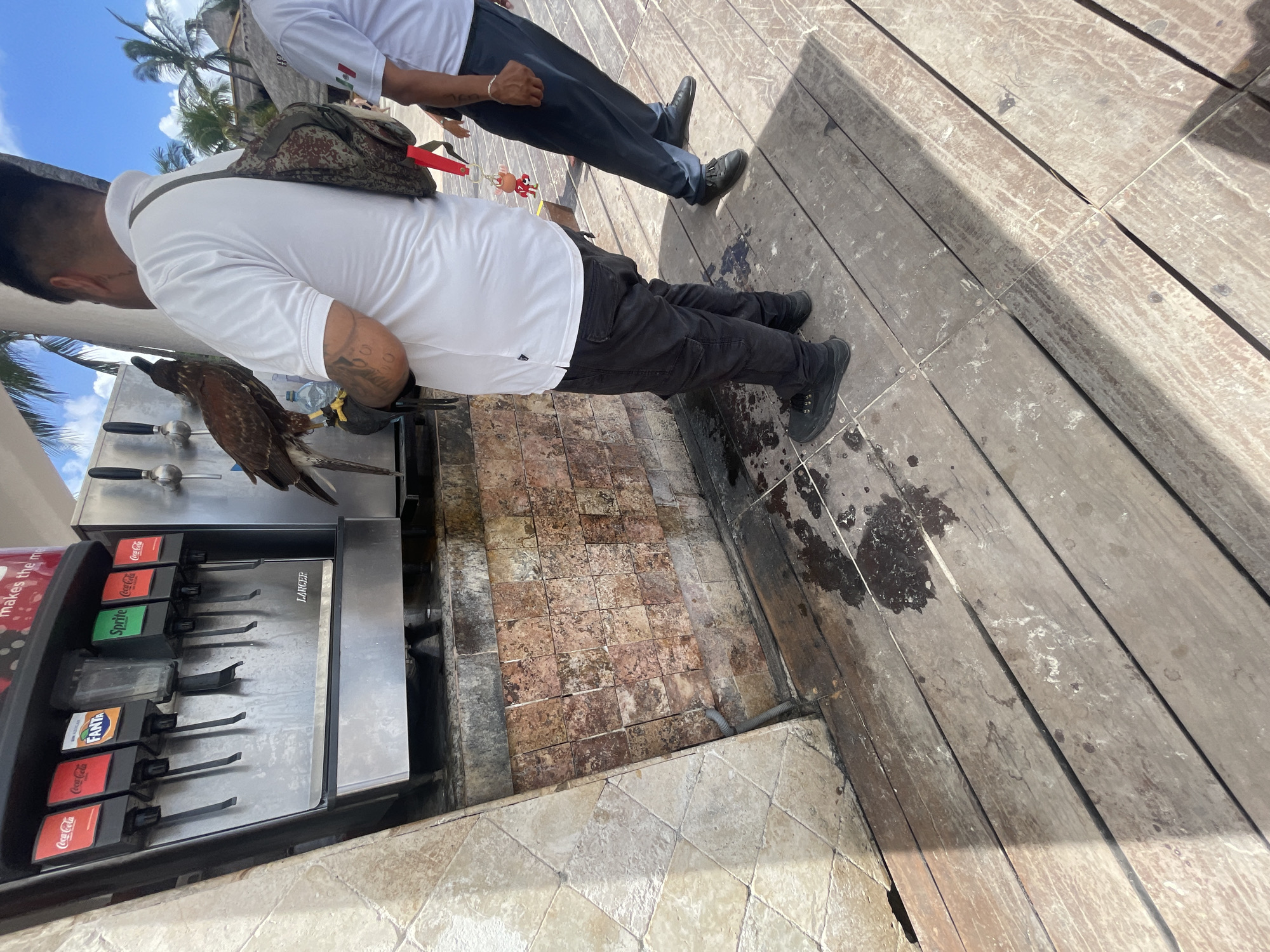 The image captures a scene in what appears to be an outdoor eatery or public space in Playa del Carmen, Mexico. The flooring consists of wooden planks and tiled areas that are showing signs of wear and possible water stains.
Two men are the primary subjects. One man is seen holding a falcon with one hand; the other man is standing a few feet away. The man handling the falcon is wearing a white shirt and black cargo pants. He also has a camouflage bag slung over his shoulder and tattoos on his left arm.
Adjacent to the man with the falcon is a soda fountain machine with selections for Coca-Cola, Sprite, and Fanta. A beverage dispenser on top of the machine features three knobs or taps.
The scene is captured in daylight, with palm trees and a blue sky visible in the background.