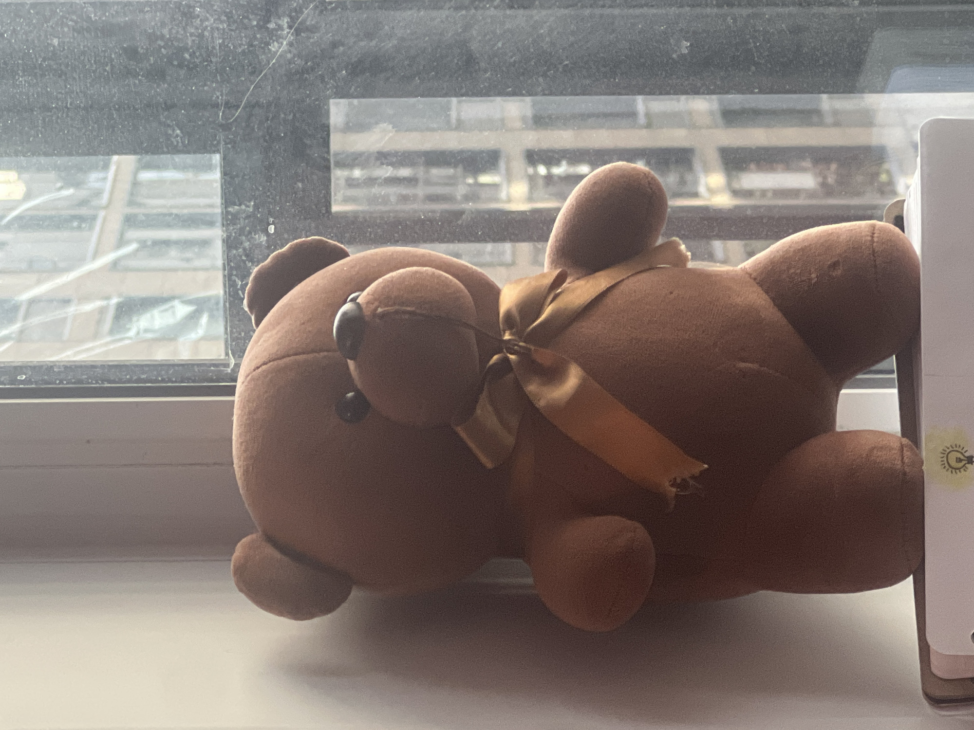 A close-up, horizontal shot features a brown plush teddy bear resting on a white window sill. The teddy bear, made of a soft, textured material, lies on its side, facing left, with its left arm bent upwards. It has small black button eyes and wears a golden or satin ribbon tied in a bow around its neck.
Behind the teddy bear, a window provides a view of an urban landscape, though the glass is noticeably dirty with visible dust, smudges, and fine strands, somewhat obscuring clarity. Through the diffused and semi-opaque glass, blurred outlines of distant, modern-looking buildings are discernible under natural daylight. The diffused light suggests it is daytime. The window frame itself appears dark.
To the right of the teddy bear, a portion of a white object, possibly a notebook or organizer, is visible, displaying a small yellow-orange lightbulb icon on its side. The scene is set indoors, looking out over a city, and within the context of Saint Petersburg, Russia. No specific activity is taking place beyond the bear's relaxed resting pose, and no legible text is visible.