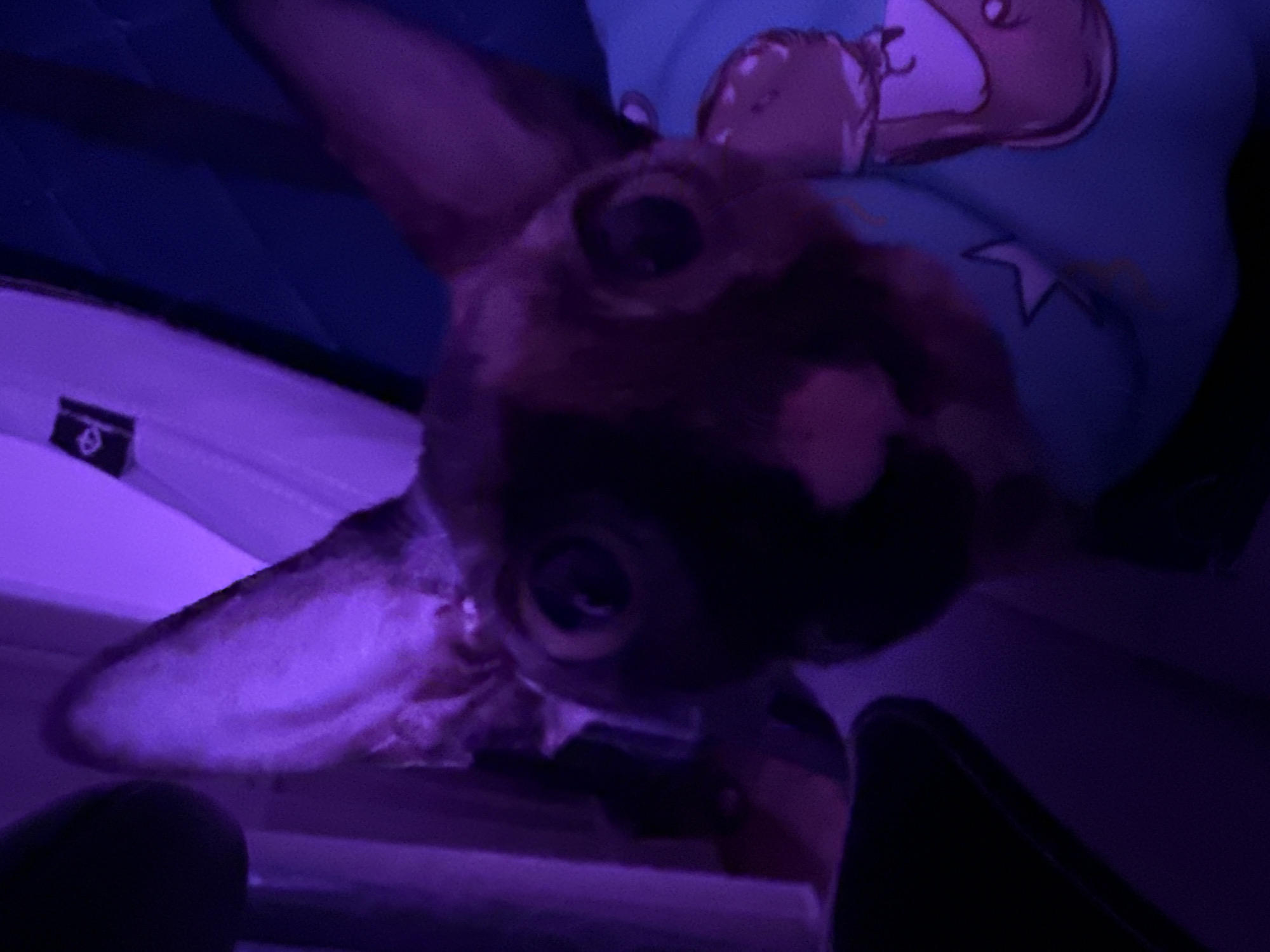 The image shows a Sphynx cat wearing a blue garment with a cartoon character print, possibly a bear or similar creature, indoors. The cat is positioned close to the camera, looking down with wide eyes. The lighting is predominantly purple, obscuring some details but highlighting the cat's features. The background includes parts of what appears to be interior architectural elements, potentially a wall or ceiling with an access panel.