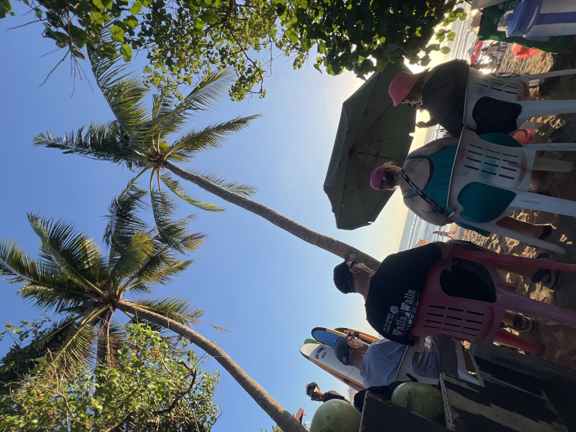 In Kuta, Indonesia, a group of people are seated on chairs on a sandy beach, facing away from the camera. Two palm trees stretch towards a clear blue sky. In the foreground, a table is partially visible with coconuts. Behind the seated individuals, surfboards are propped upright. The ocean stretches out to the horizon, with a few people visible near the water's edge and a red umbrella further down the beach. The overall atmosphere appears relaxed, with the sun casting a warm glow on the scene.