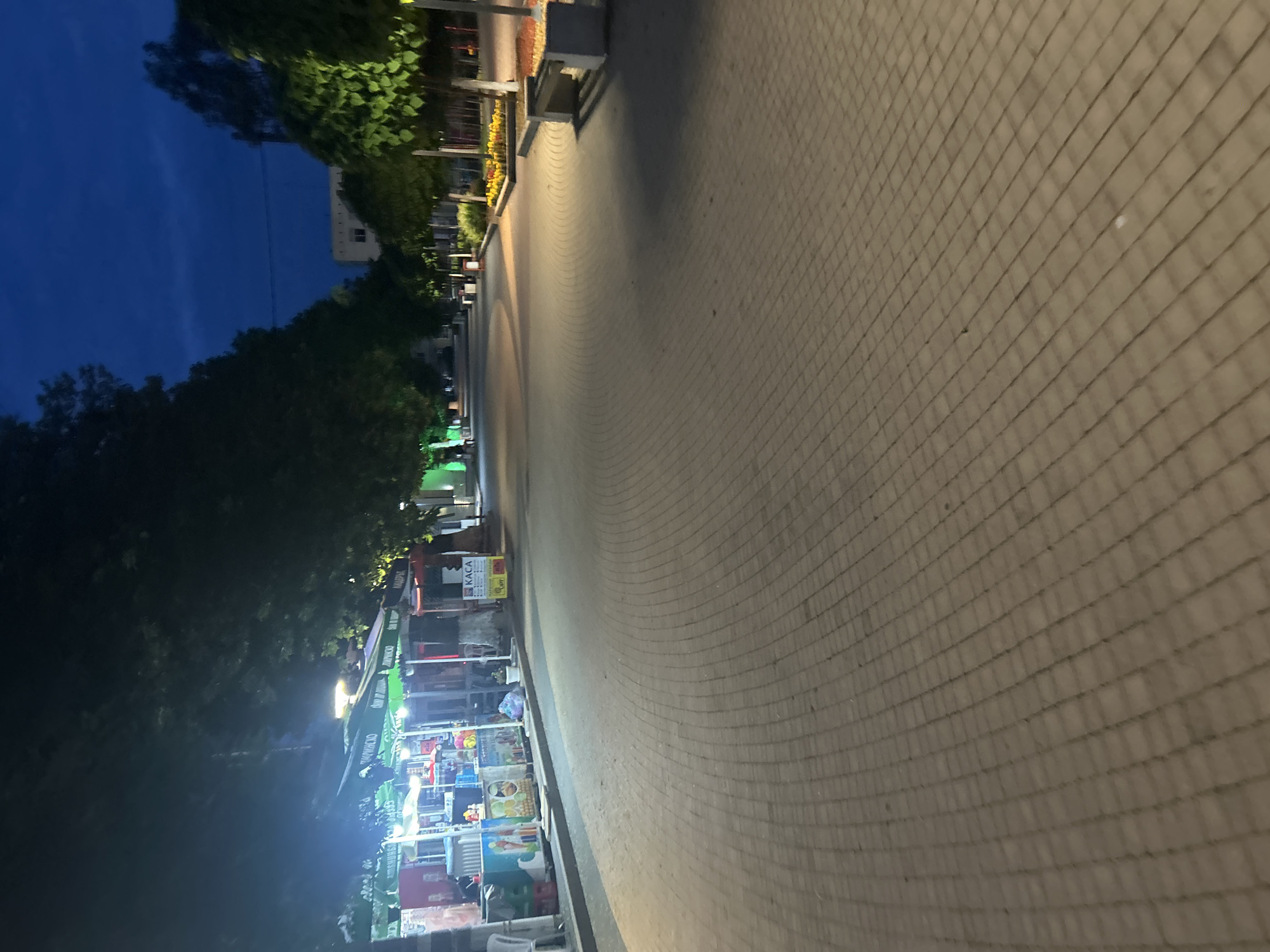 The image depicts an outdoor pedestrian area at night in Dzhebel, Bulgaria, likely a street or promenade lined with shops and trees. The perspective is tilted, making the pathway appear to ascend diagonally from the bottom-right to the top-left, but mentally rotating it reveals a wide, light-colored paved pathway of rectangular blocks stretching into the distance.
On the left side of the pathway, a row of market stalls or small shops is visible, brightly illuminated by their own lights. These stalls feature awnings, some with visible Cyrillic text, and display various products. One sign prominently reads "KACA" (Каса), which means "cashier" or "till" in Bulgarian. Another awning appears to have text resembling "JURWICKO" or "Zhigulevskoe." Dark trees with visible green leaves line this side, extending upwards. Further along the path, there are benches and some smaller plants or flowers.
The right side of the image is dominated by a dark, deep blue night sky, with a few more trees silhouetted against it. In the far distance, a light-colored building with multiple windows can be seen above the trees. The overall lighting comes from the artificial sources of the stalls and streetlights, casting a glow on the pavement and surroundings, indicating it is nighttime or late dusk. No specific activity is clearly visible, and no people are distinctly identifiable, suggesting a quiet evening scene. The paving pattern on the path is consistent throughout, featuring a grid of small, light-colored blocks.