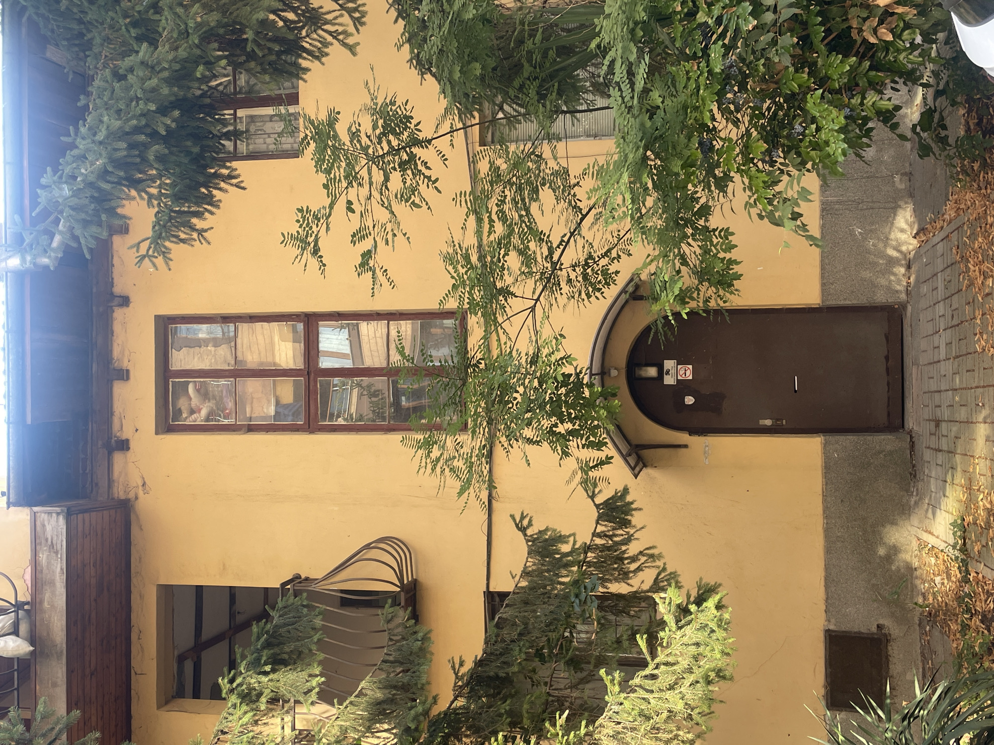 The media file depicts the exterior of a building, likely in an urban or courtyard setting. The building has a textured, yellow-painted facade with several windows. One prominent window, framed with dark wood, is divided into multiple panes and shows reflections that obscure the interior. Another lower window, also with a dark wooden frame, is partially visible, appearing to look into a darker space. A dark brown, arched door is centrally located on the facade, featuring a handle and a letterbox. Above the door, there are two small circular signs; one appears to be a camera surveillance warning, and the other depicts a prohibition symbol. To the left of the door, a section of the wall has a different, grayer textured finish.
The scene is partially obscured by lush green foliage from several trees and bushes, which hang over and around the building. Some of these trees have a conifer-like appearance, while others have finer, deciduous leaves. Dry leaves are visible on the ground to the right of the door, mixed with paved tiles. The lighting suggests it is daytime, with shadows cast on the ground and wall, indicating sunlight. The overall impression is one of a somewhat overgrown and possibly aged building entrance, with a hint of residential or commercial activity, though no people are clearly visible. The location context is Burgas, Bulgaria, but there are no specific visual cues within the image that explicitly confirm this.