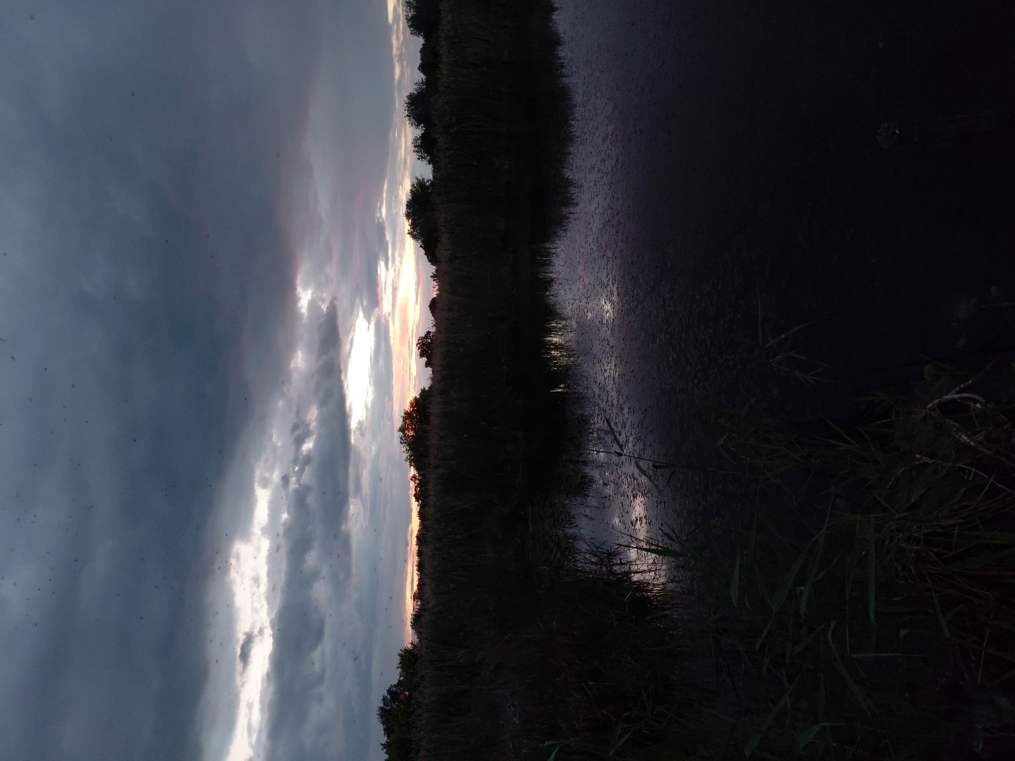 The image depicts a dark, overcast sunset over a rural landscape, likely Ustyvytsia, Ukraine. The sky is filled with dramatic, heavy clouds, with a sliver of pale orange and pink light breaking through near the horizon. A dense line of dark trees and tall grass marks the edge of a body of water, possibly a river or a pond. The water's surface is dark and reflective, mirroring the somber sky and the silhouettes of the surrounding vegetation. The foreground is dominated by the dark, shadowy shapes of reeds and other plants growing along the water's edge. The overall impression is one of twilight settling over a peaceful, natural setting. There are no people, animals, or man-made structures clearly visible.