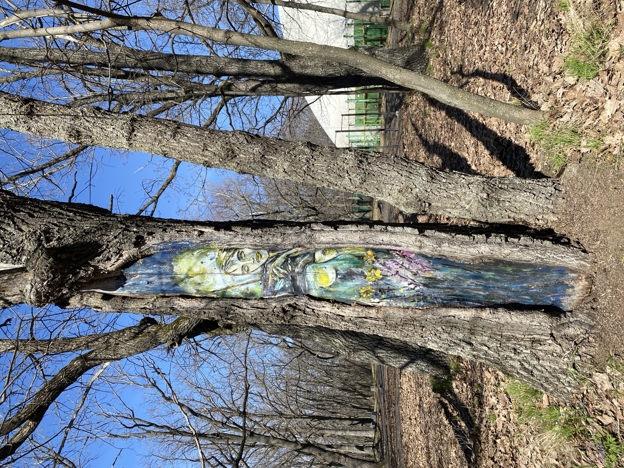 The image displays an outdoor scene, likely a park or treelined alley in Ulyanovsk, Russia, dominated by a large tree featuring an artistic painting within its trunk.
The central subject is a massive, gnarled tree with rough, grey-brown bark. Within a long, vertical hollow or crevice of its trunk, a colorful painting is visible. The artwork depicts a serene, ethereal female figure, possibly a nature spirit or dryad. She has long, flowing hair rendered in pale yellow and green hues, and her eyes appear closed or downcast. Her hands are clasped around what seems to be a rounded vase or vessel, from which bright yellow and purple flowers or foliage emerge. The background of the painting is composed of deep blues, greens, and purples.
The setting is characterized by numerous other large deciduous trees, their bare branches creating intricate patterns against a clear, bright blue sky. This lack of foliage suggests the season is either late autumn, winter, or early spring. The ground is covered with a thick layer of dry, brown fallen leaves, interspersed with small patches of green grass. Long shadows stretch across the ground from the trees, indicating a bright, sunny day. In the background, through the bare tree branches, some distant buildings with white walls and green fencing or structures are visible. No specific activity is depicted, presenting a static scene of public art integrated into a natural landscape. There is no visible text.