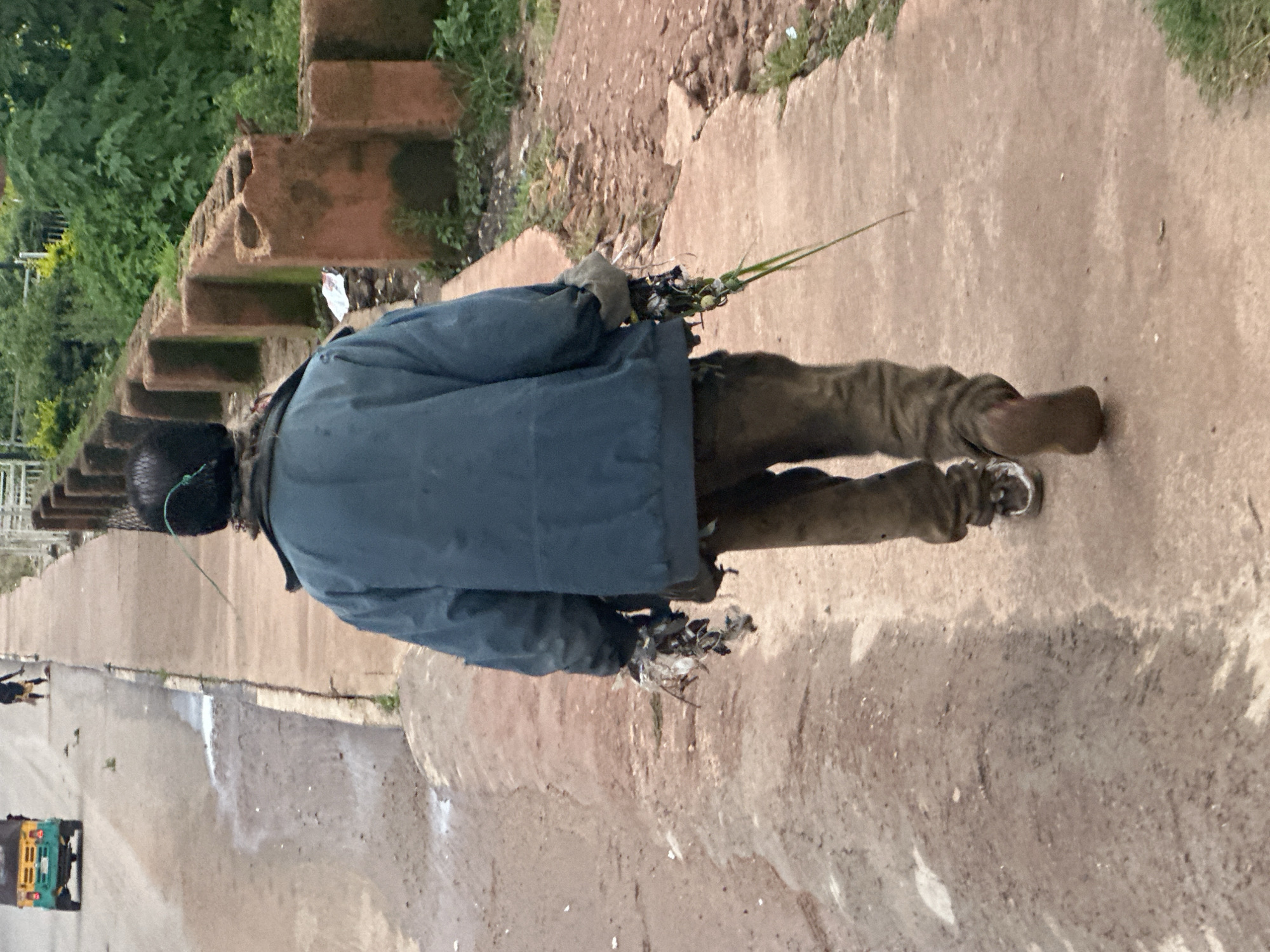 A person walks away from the camera on a paved path, likely in Gura Top, Nigeria. The individual is wearing a dark blue jacket, brown pants, and sneakers. They are holding a bundle of green vegetation in their right hand and a small, indeterminate collection of debris in their left hand. The path is bordered on the right by a low, reddish-brown, concrete barrier with gaps and some vegetation growing through it, and on the left by a dirt embankment. In the background, trees and foliage are visible. Further in the distance, on the road adjacent to the path, a yellow and green tricycle is seen moving away from the viewer, and another person is walking on the road. The overall environment appears to be somewhat unkempt.