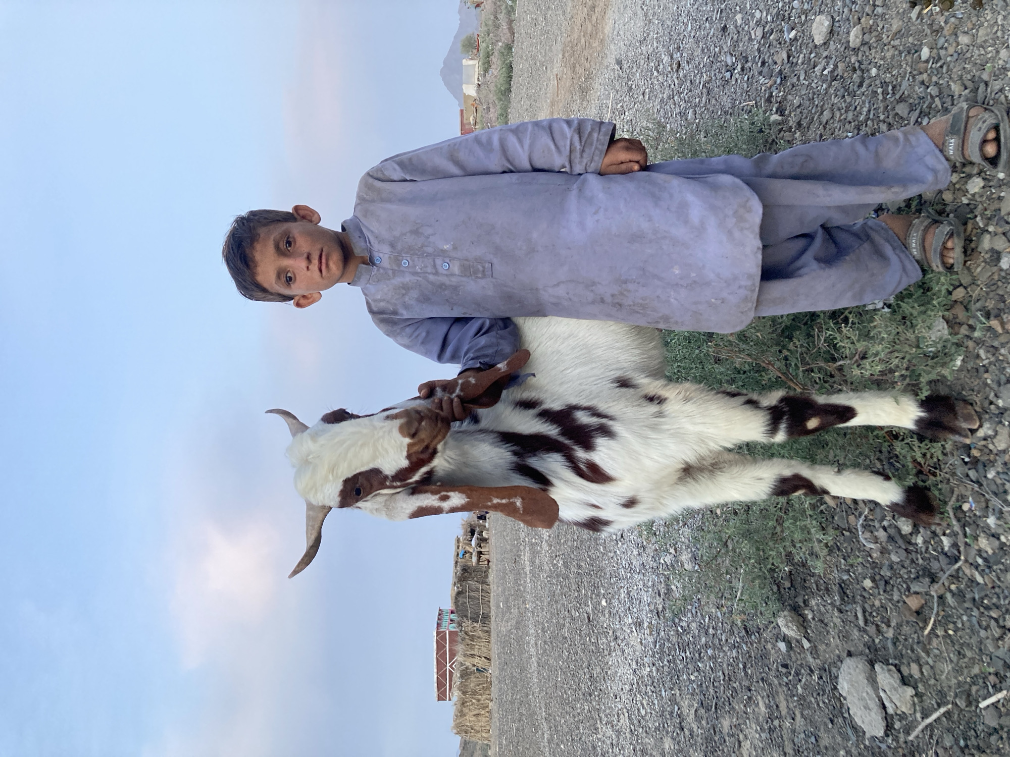 A boy in light blue traditional clothing is standing in Wayara, Pakistan, holding a goat with white and brown fur. The ground is gravelly with patches of sparse vegetation. In the background, there are buildings, a low mountain range, and a pale blue sky. The boy looks directly at the camera.