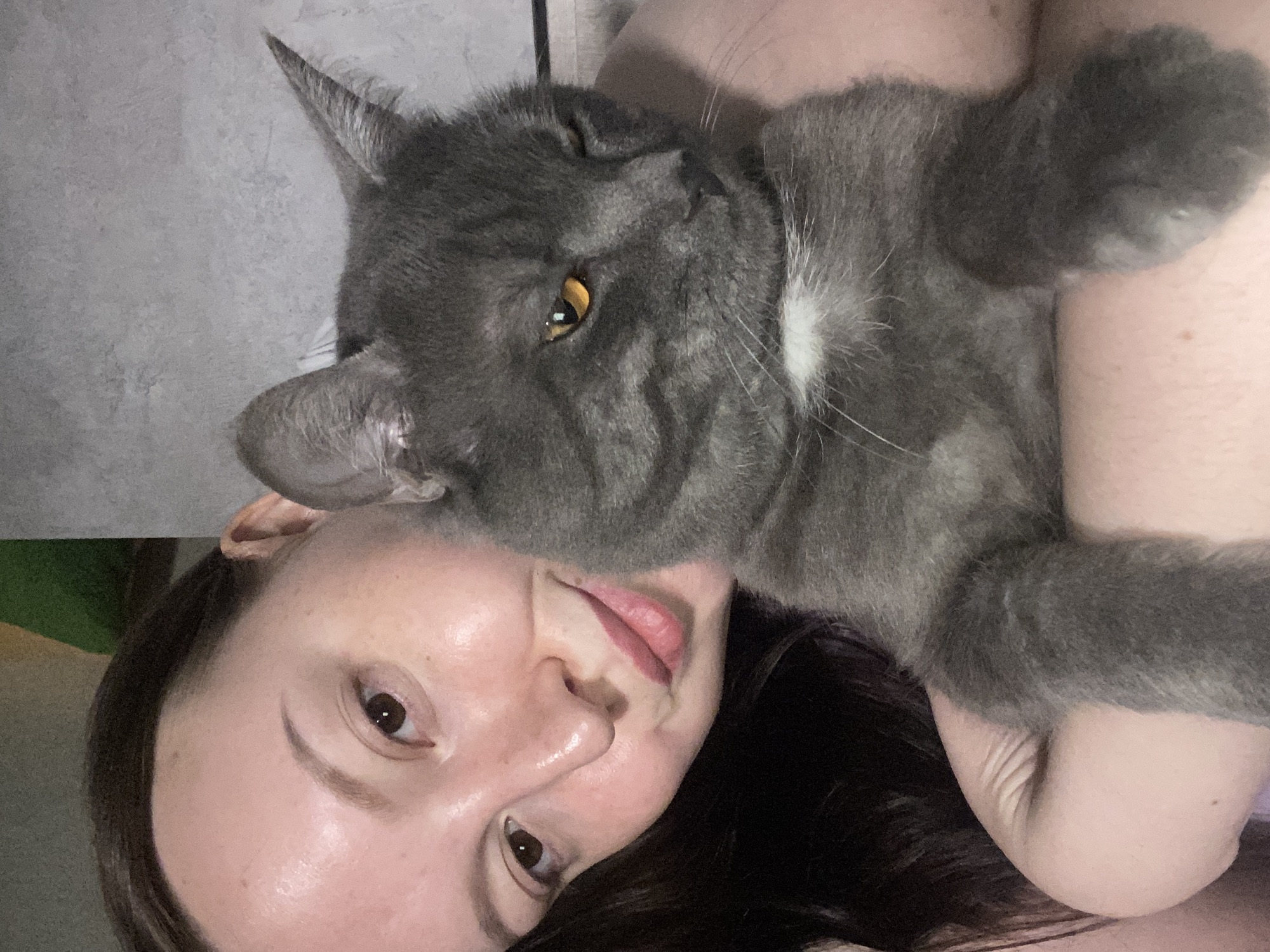 This close-up image, captured from a rotated perspective, portrays a warm and intimate moment between a young adult woman and a grey cat. The woman's face, with dark hair framing it, is partially visible, featuring a brown eye looking towards the camera and slightly parted lips. Her expression appears gentle and relaxed.
Cuddled close to the woman's face is a sleek, short-haired grey cat, likely a Russian Blue or similar breed, distinguished by its vibrant yellow or amber eyes, one of which is partly closed in apparent contentment. The cat has a patch of white fur on its chest and under its chin. Its head rests near the woman's, and its paw is also visible, suggesting it is comfortably lying on or beside her. The interaction conveys a strong bond and mutual affection between the two.
The background is a soft, indistinct light grey, hinting at an indoor setting, possibly a wall. A subtle hint of dark green can be seen on the far left of the frame. The lighting is soft and even, contributing to the cozy and peaceful atmosphere. The image captures a quiet moment of companionship.
No visible text is present in the image. While the location context is Chaikovsky, Russia, the visual details in the image do not provide specific geographical cues to confirm this.