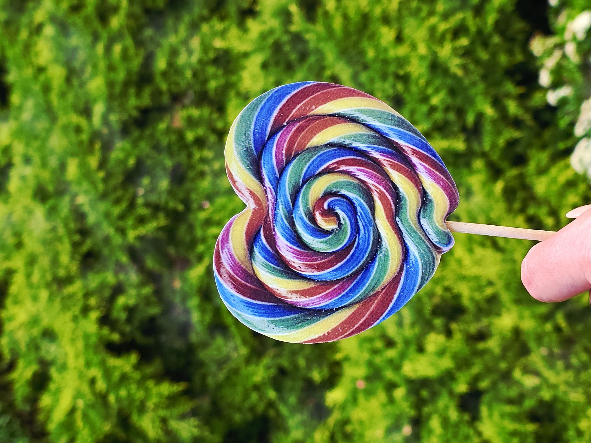 A close-up captures a multi-colored, heart-shaped lollipop held against a lush green background. The lollipop features a spiral design with vibrant colors, including blue, red, yellow, and green, creating a visually striking contrast. A person's fingers are visible holding the lollipop stick, which is made of wood. The background consists of dense, green foliage, suggesting an outdoor setting. The city is unknown.