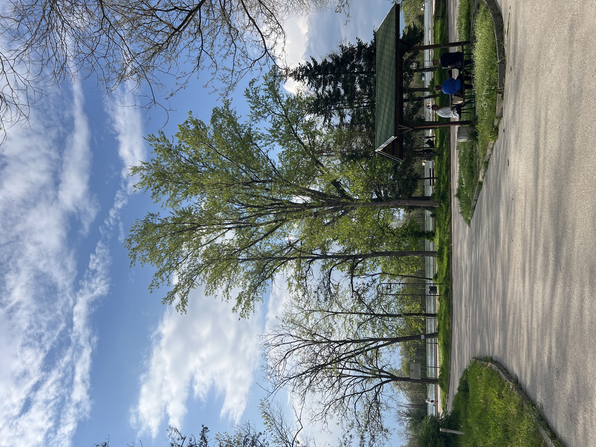 This image captures a serene outdoor scene within a park or recreational area in Plovdiv, Bulgaria, likely during early spring. The day is bright and clear, with a vivid blue sky adorned by scattered white clouds. The sun is high, casting distinct shadows on the ground, suggesting it is midday or early afternoon.
An asphalt path, partially shaded by trees, curves through the foreground and midground. Lush green grass borders the path, and a variety of trees populate the area. Some trees showcase nascent green leaves, while others remain bare, characteristic of the transition into spring.
To the right of the path stands a wooden gazebo featuring a green tiled roof and sturdy supports. Beneath its shelter, several people are visible, seated at tables or benches. One individual wears a blue shirt, another a dark shirt, and a third a white shirt, all appearing to be engaged in leisure or conversation.
Beyond the path and foliage, a calm body of water—likely a river or lake common to Plovdiv—stretches across the horizon. A fence or railing lines its near bank, and in the distance, a solitary figure can be observed on a path next to the water, possibly exercising. A signpost is also present near the water's edge, though its text is too distant to read. The overall ambiance is one of tranquility and enjoyment of the pleasant spring weather in a natural setting.
