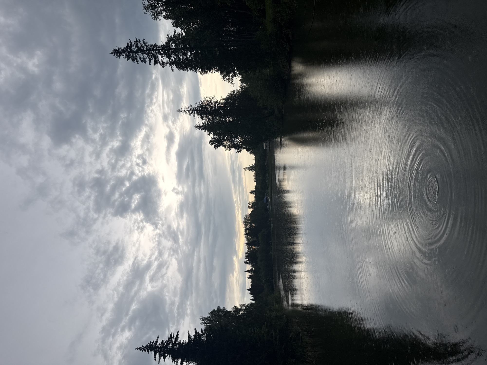 A wide shot captures a tranquil lake in Chusovoy, Russia, under a cloudy, overcast sky. The water's surface is disturbed by raindrops, creating concentric ripples, particularly visible in the foreground. The shoreline is densely wooded with dark, tall coniferous trees and other foliage, reflected in the still water. A hint of pale yellow light breaks through the clouds on the horizon. The overall atmosphere is somber and calm. There are no people or animals visible in the image.
