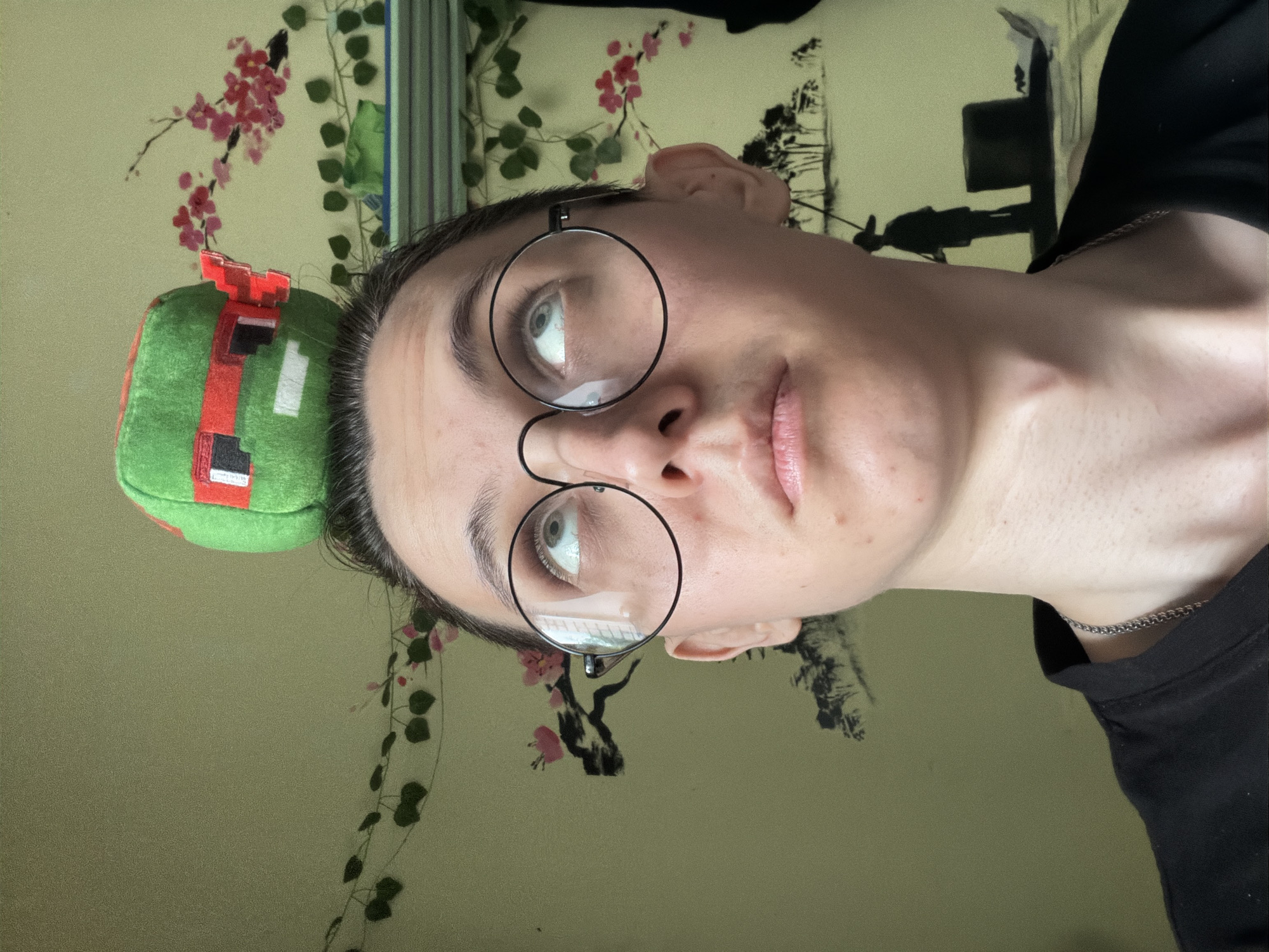 A person wearing glasses is looking upwards at a stuffed toy balanced on their head. The stuffed toy is green with a red bandana and white accents, resembling a cartoon character. The person is wearing a black t-shirt and a silver chain necklace. The background features a light green wall with a decorative design of branches with pink flowers and green leaves, as well as a silhouette of a person on a boat with a large hat. The lighting is natural, coming from the front. The image appears to be taken indoors.
